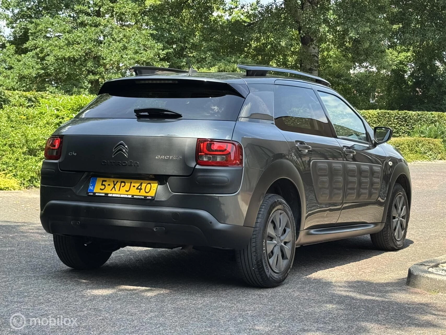 Hoofdafbeelding Citroën C4 Cactus