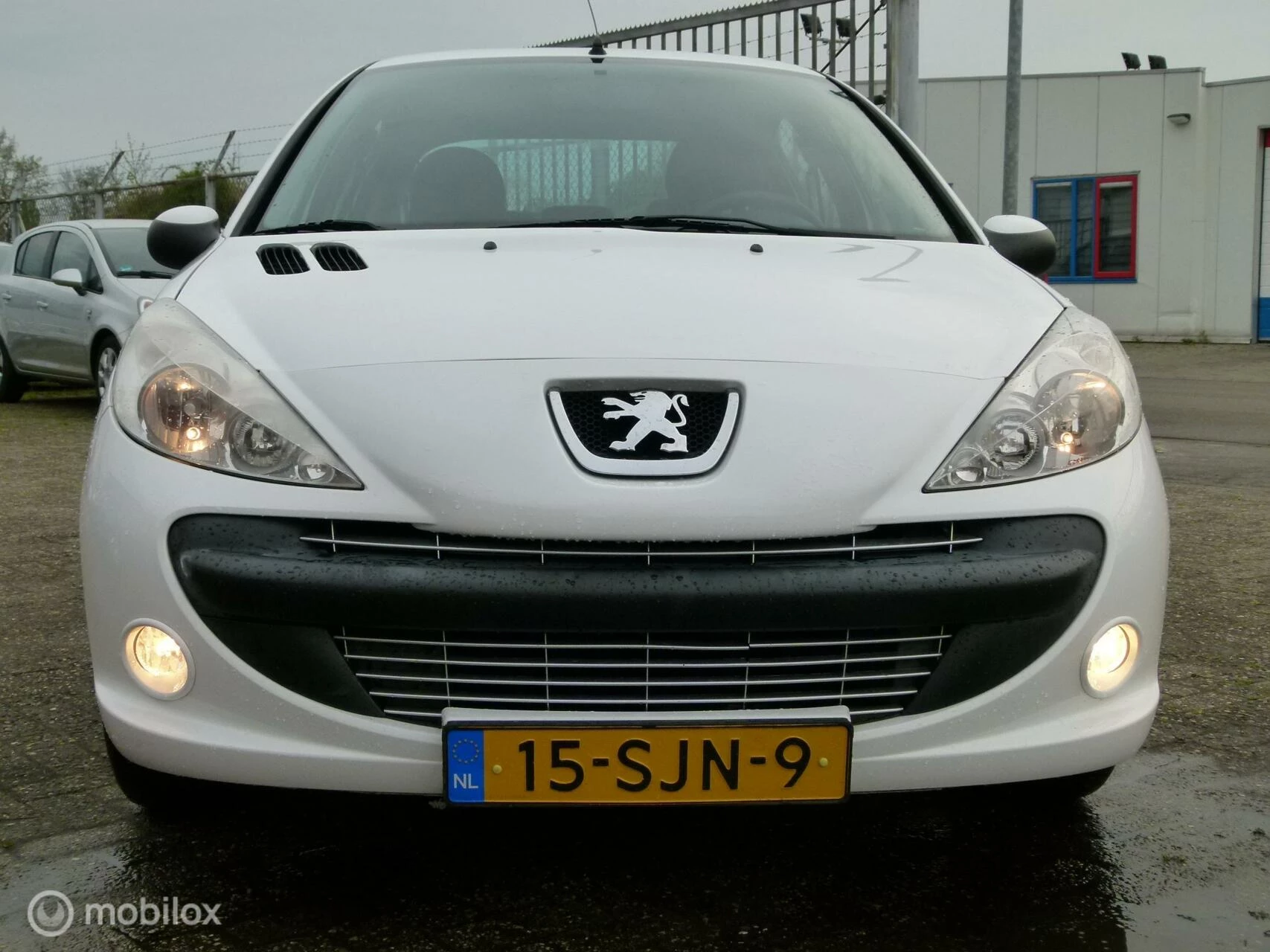 Hoofdafbeelding Peugeot 206