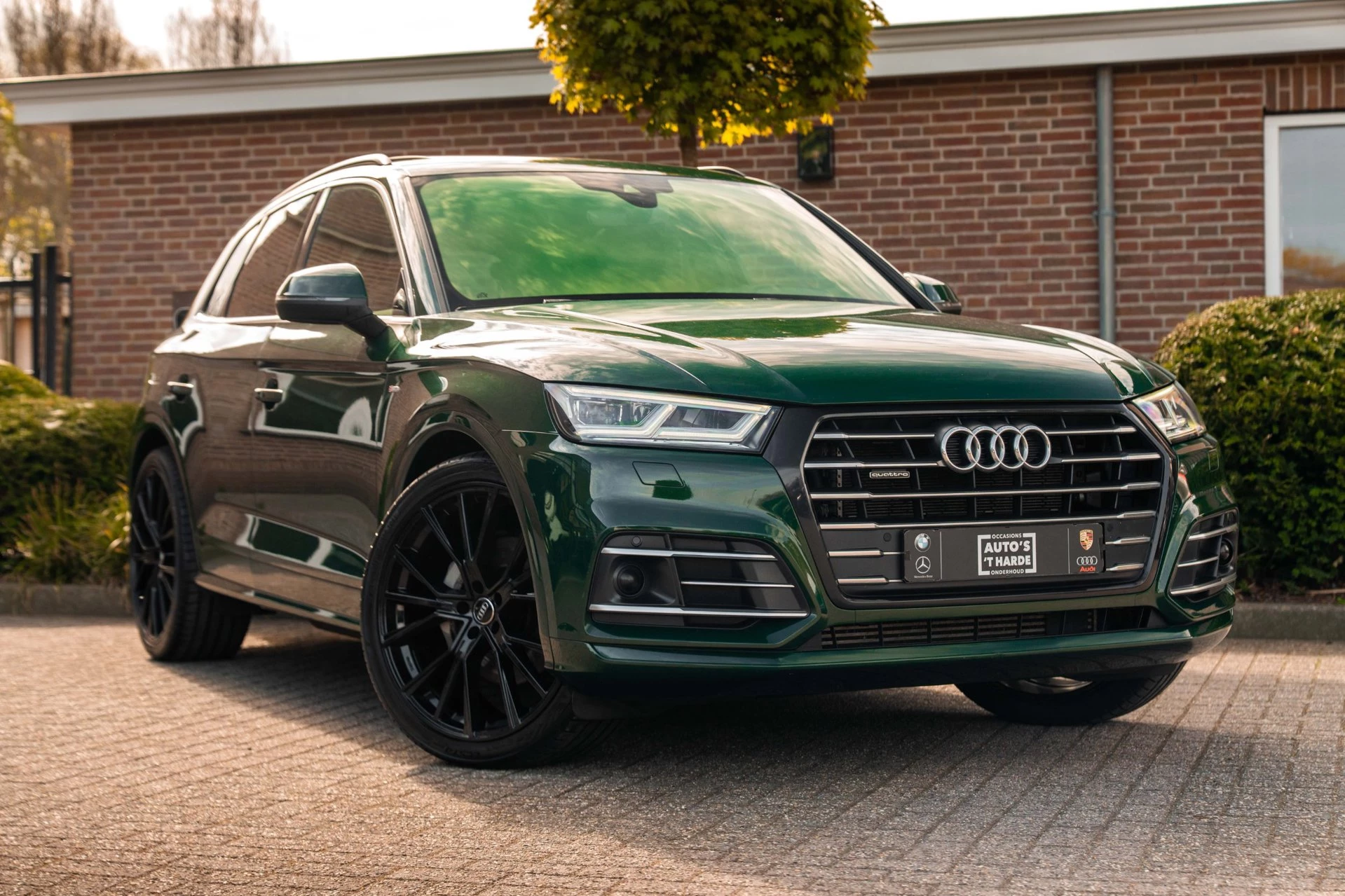 Hoofdafbeelding Audi Q5