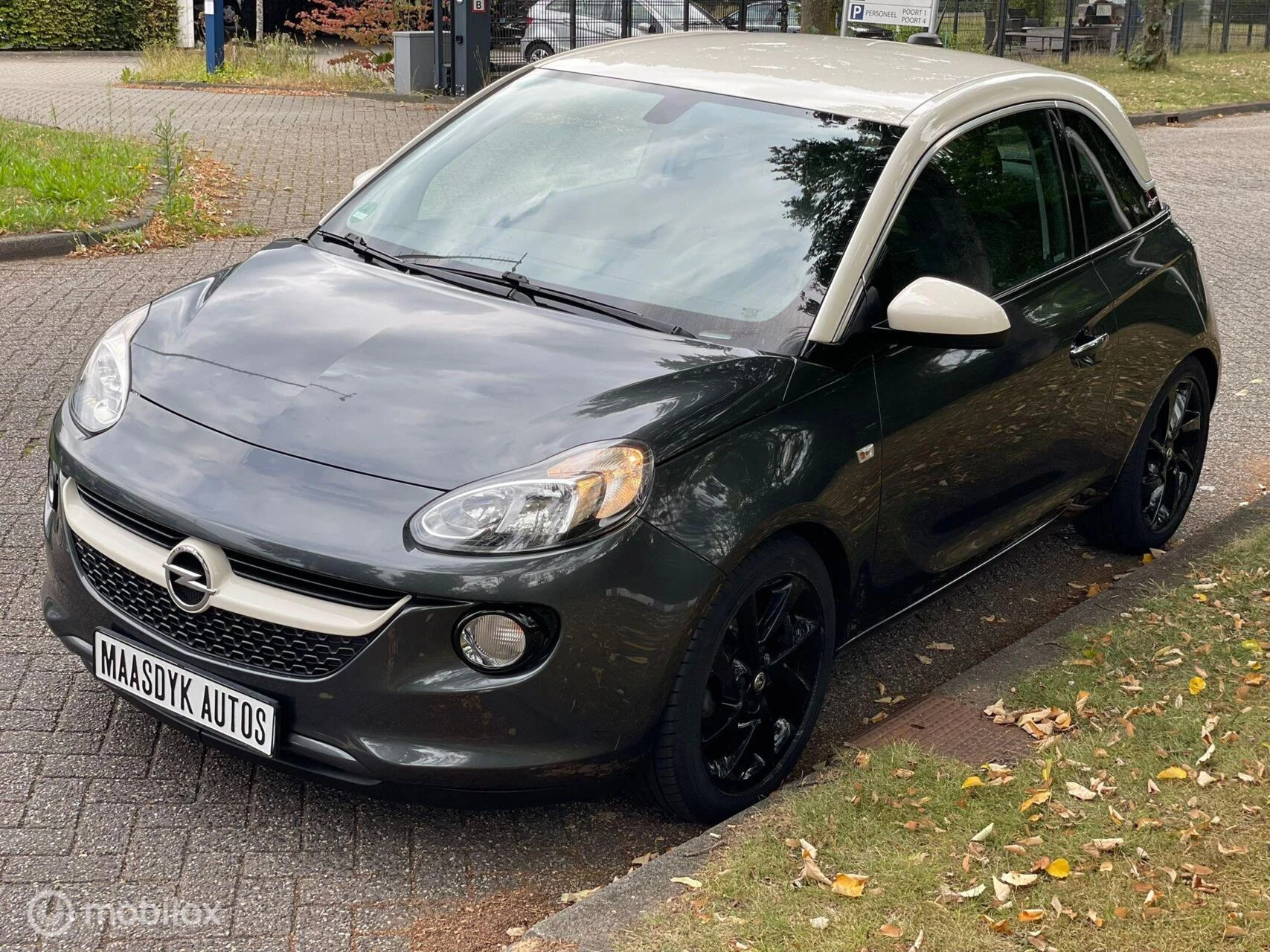 Hoofdafbeelding Opel ADAM