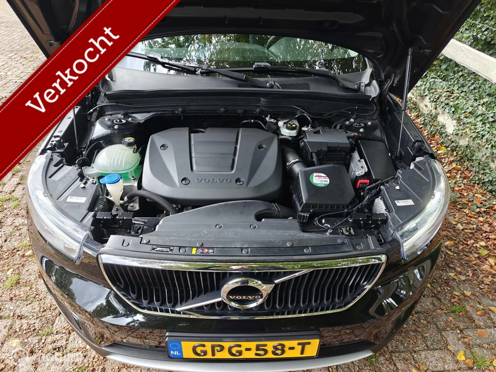 Hoofdafbeelding Volvo XC40