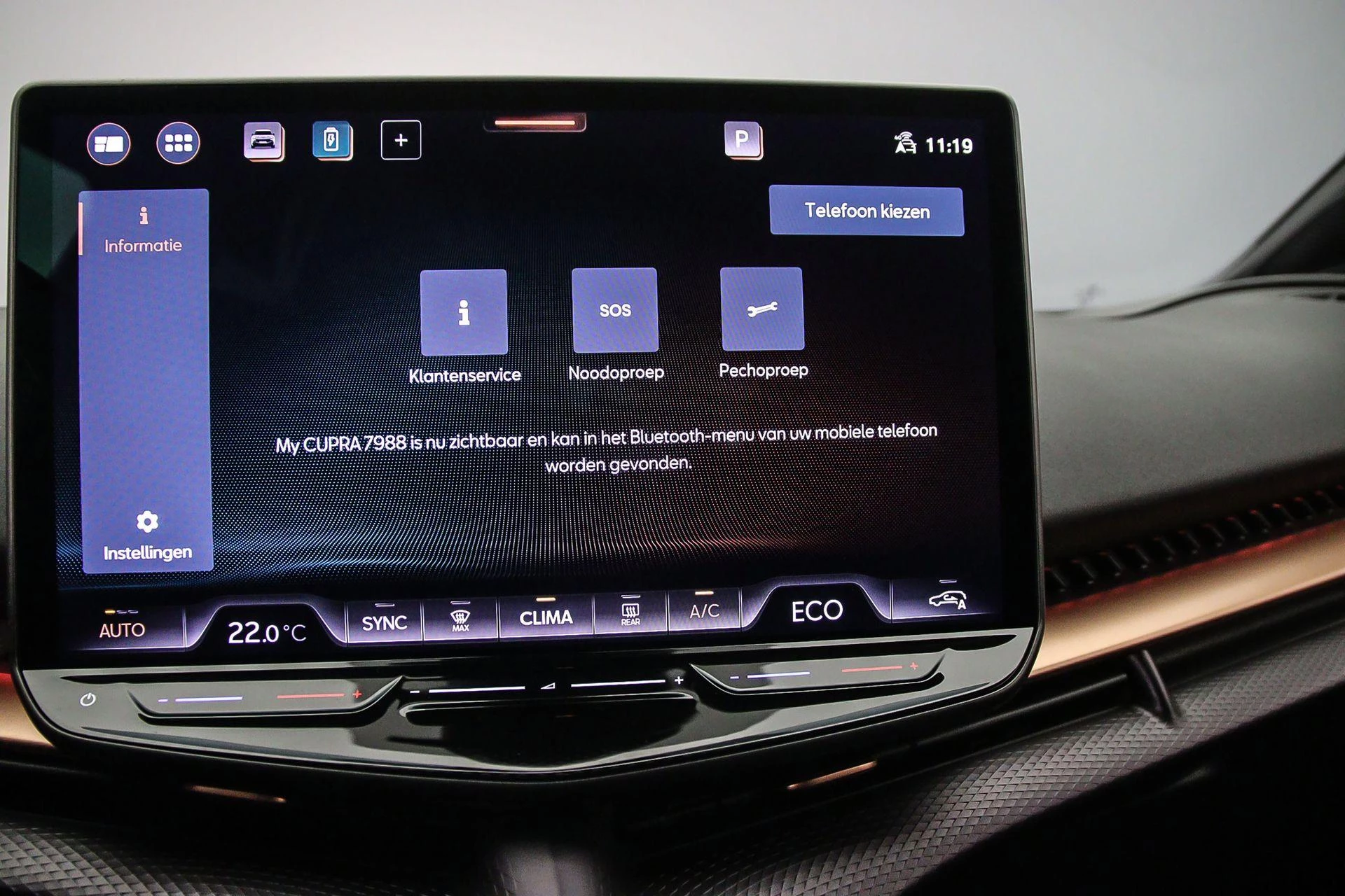 Hoofdafbeelding CUPRA Tavascan