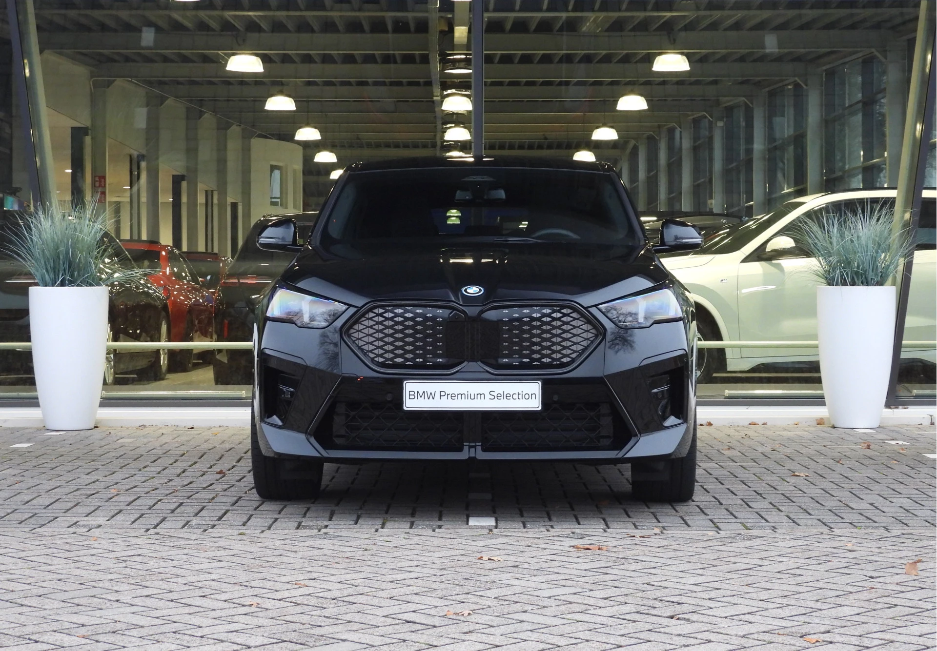 Hoofdafbeelding BMW iX2