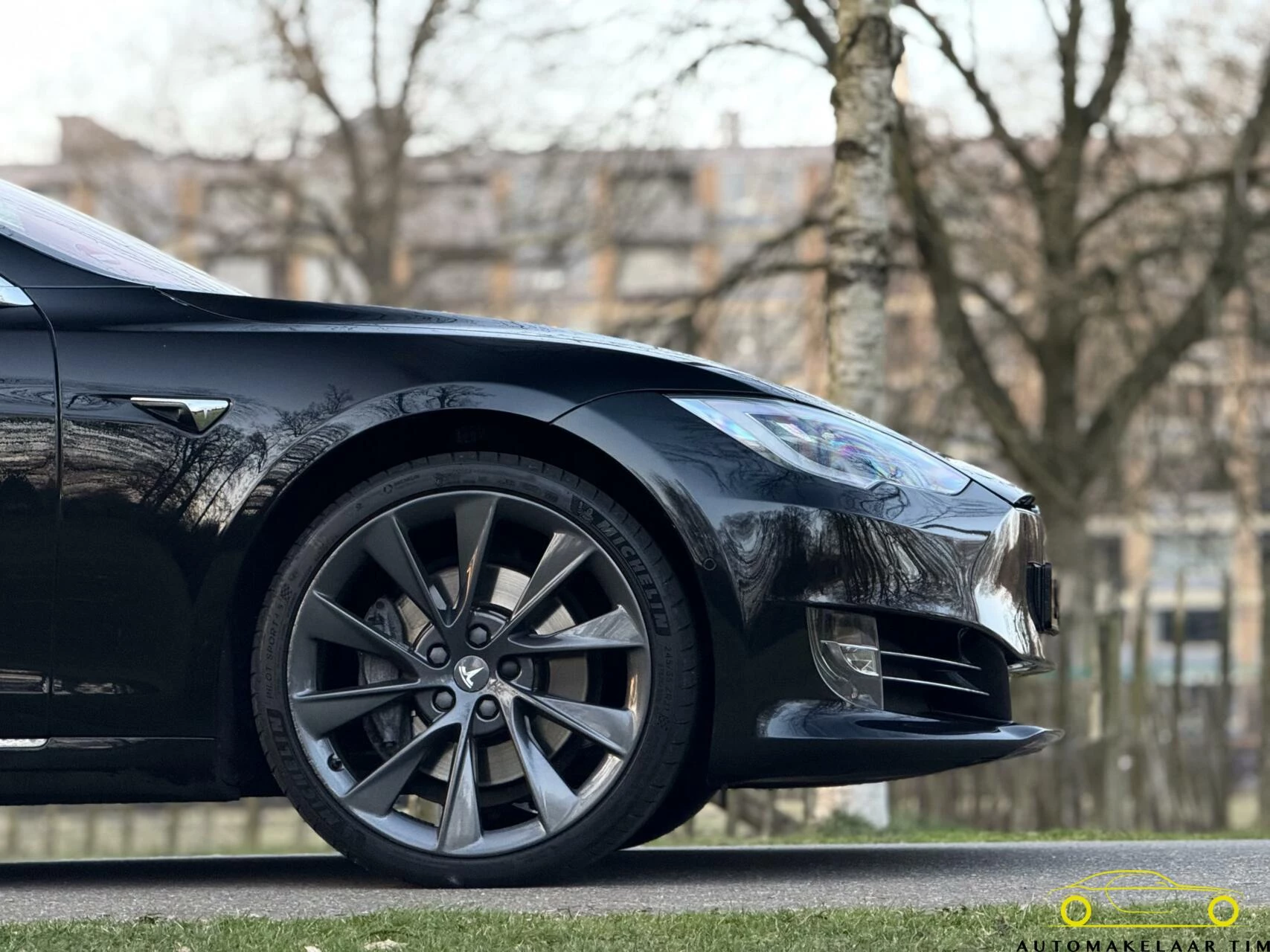 Hoofdafbeelding Tesla Model S