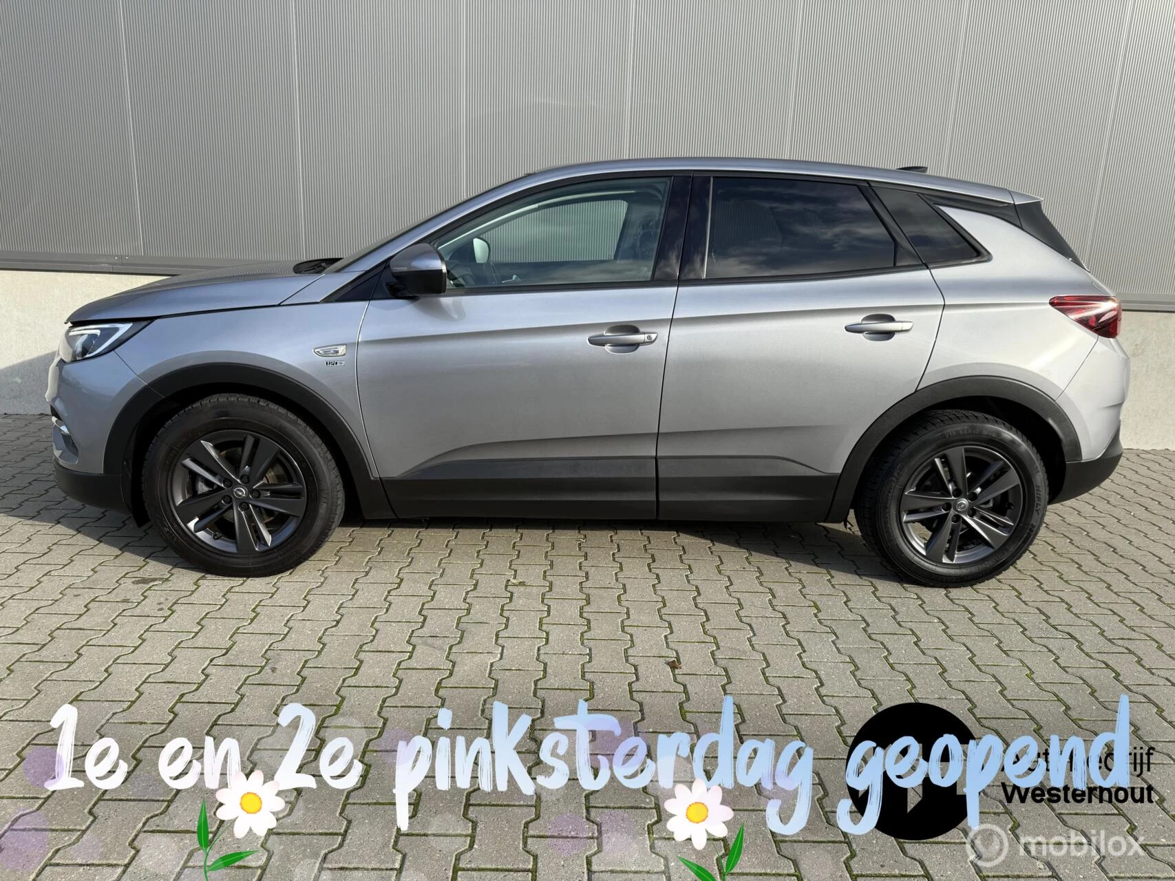 Hoofdafbeelding Opel Grandland X