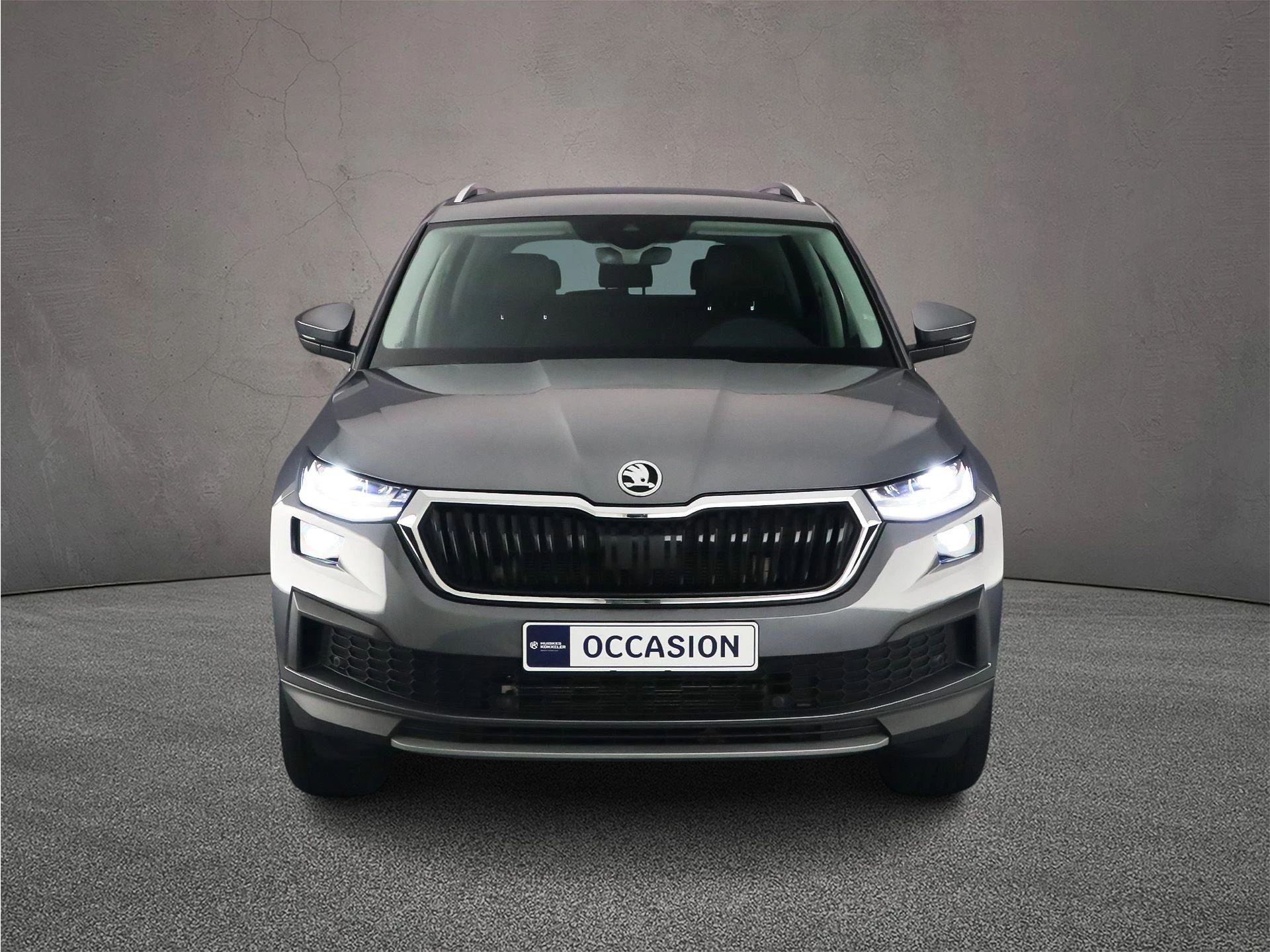 Hoofdafbeelding Škoda Kodiaq