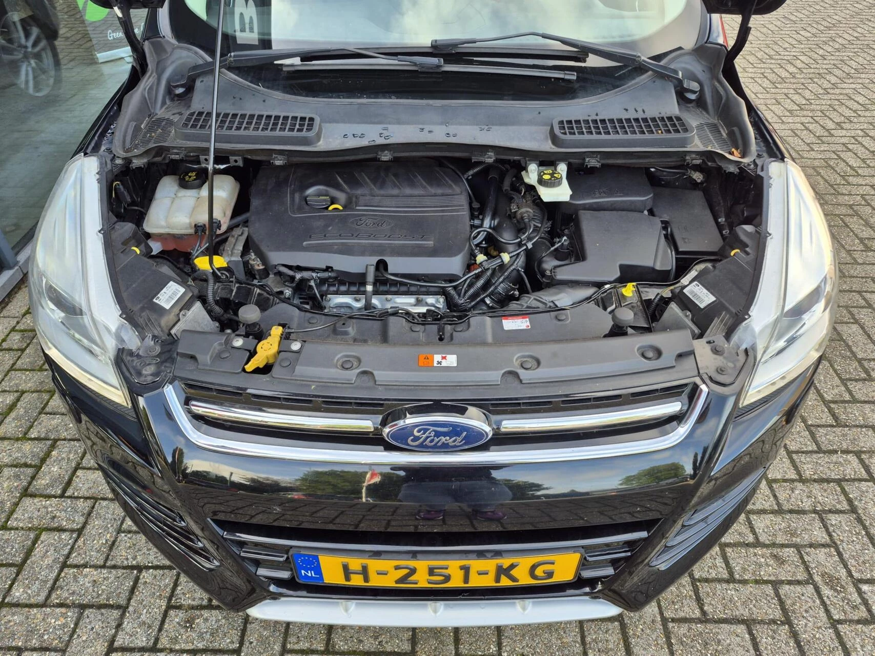 Hoofdafbeelding Ford Kuga