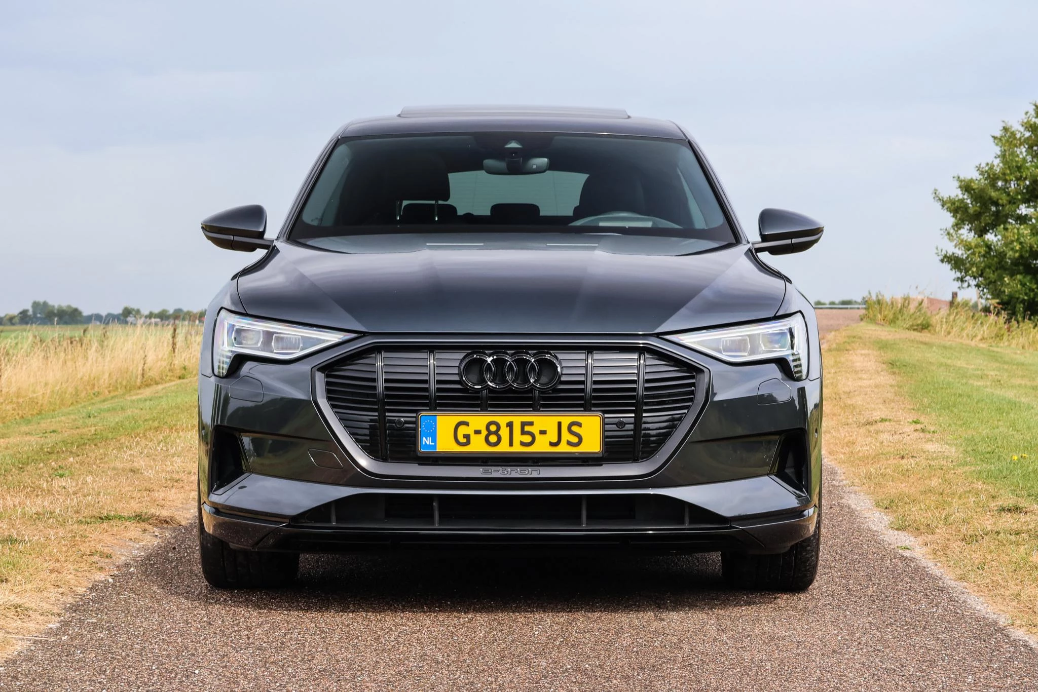 Hoofdafbeelding Audi e-tron