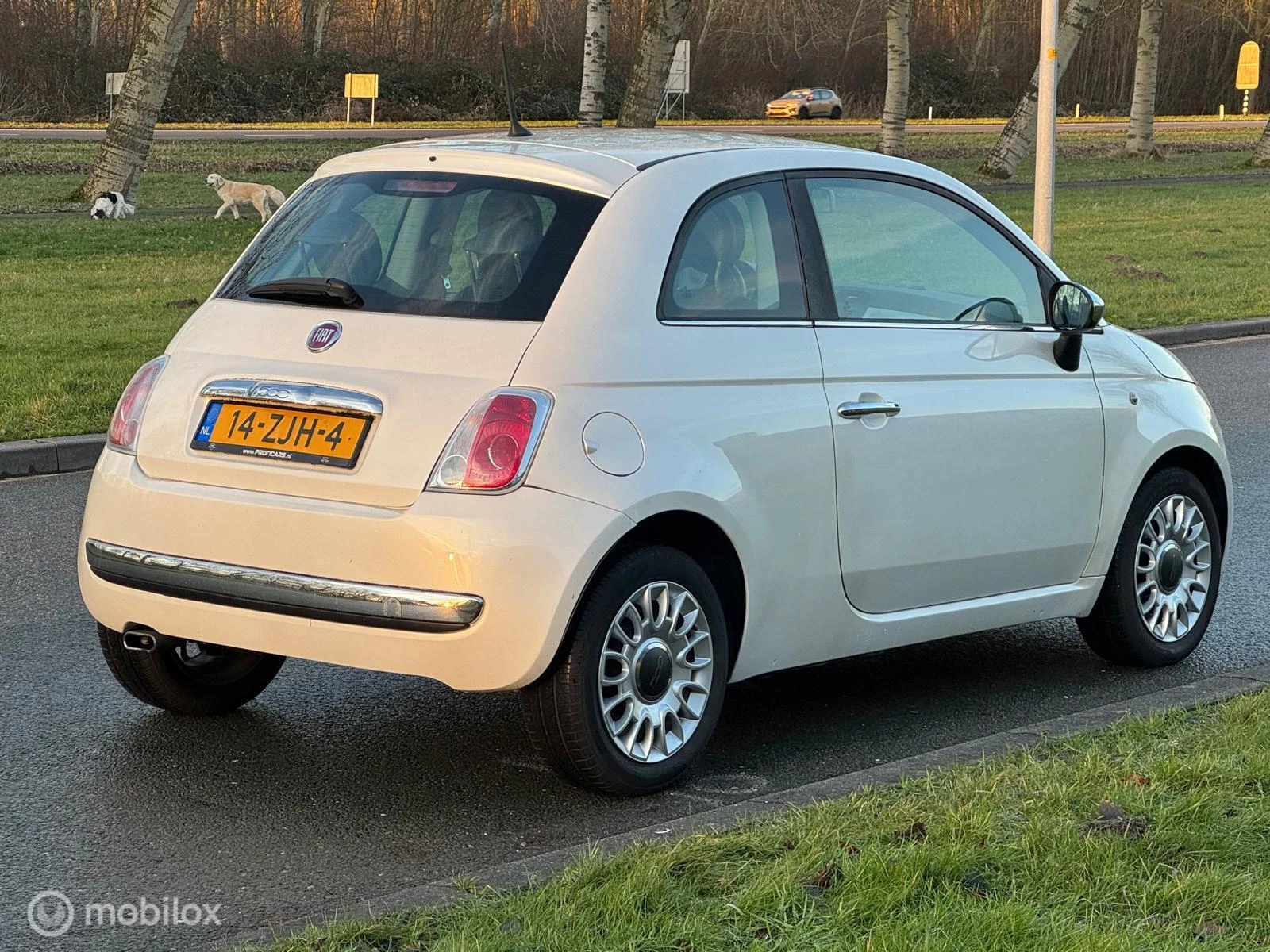 Hoofdafbeelding Fiat 500