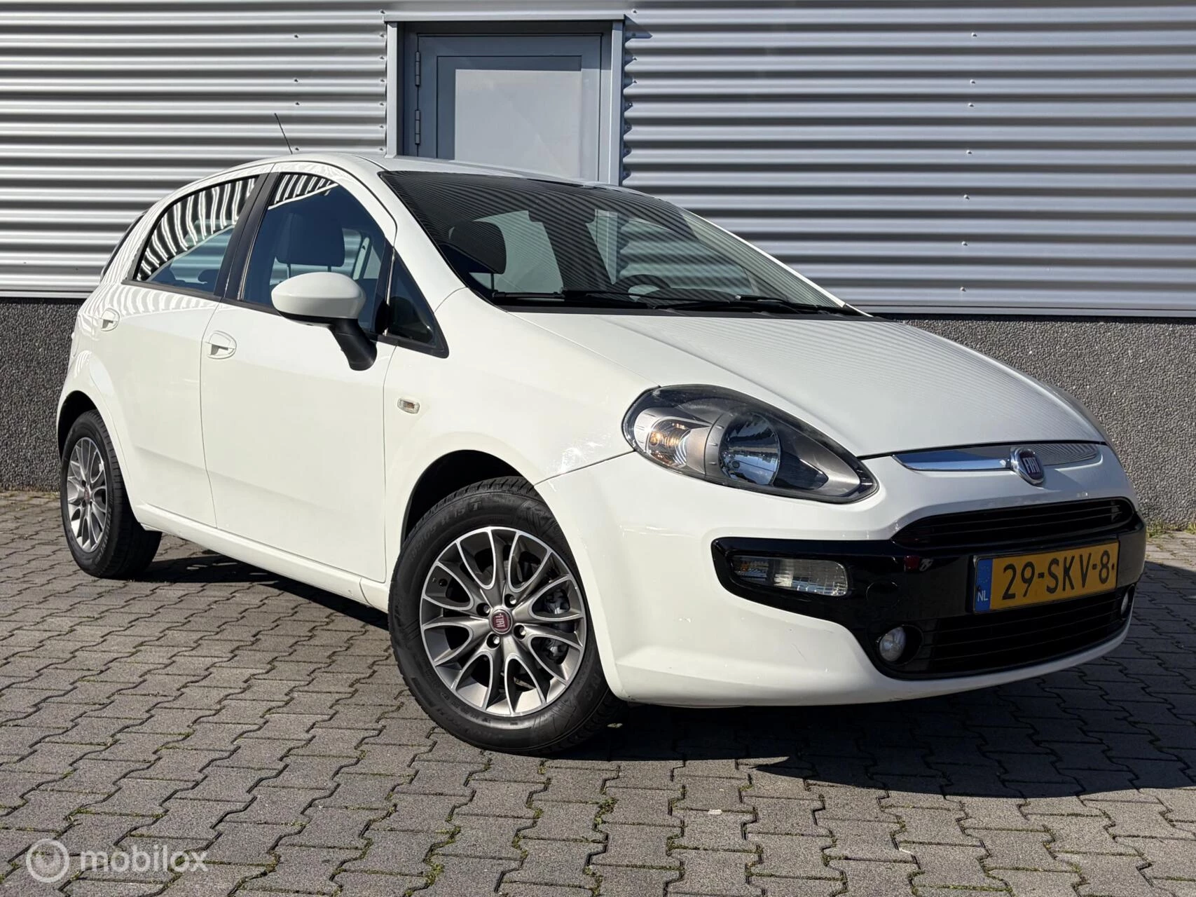 Hoofdafbeelding Fiat Punto