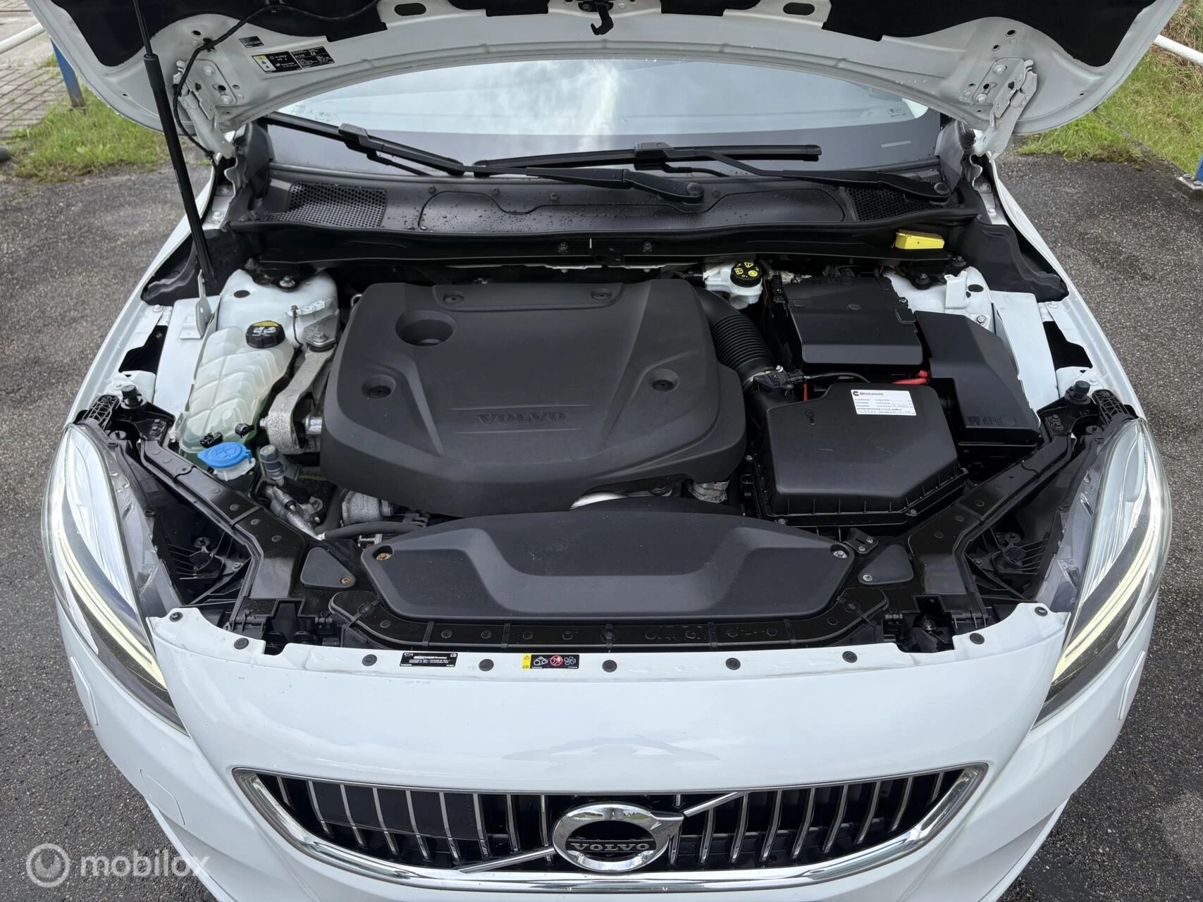 Hoofdafbeelding Volvo V40