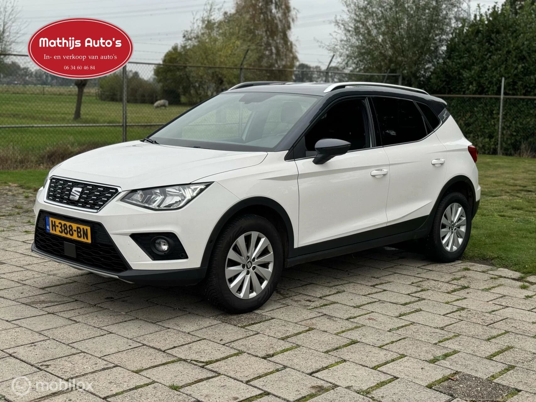 Hoofdafbeelding SEAT Arona