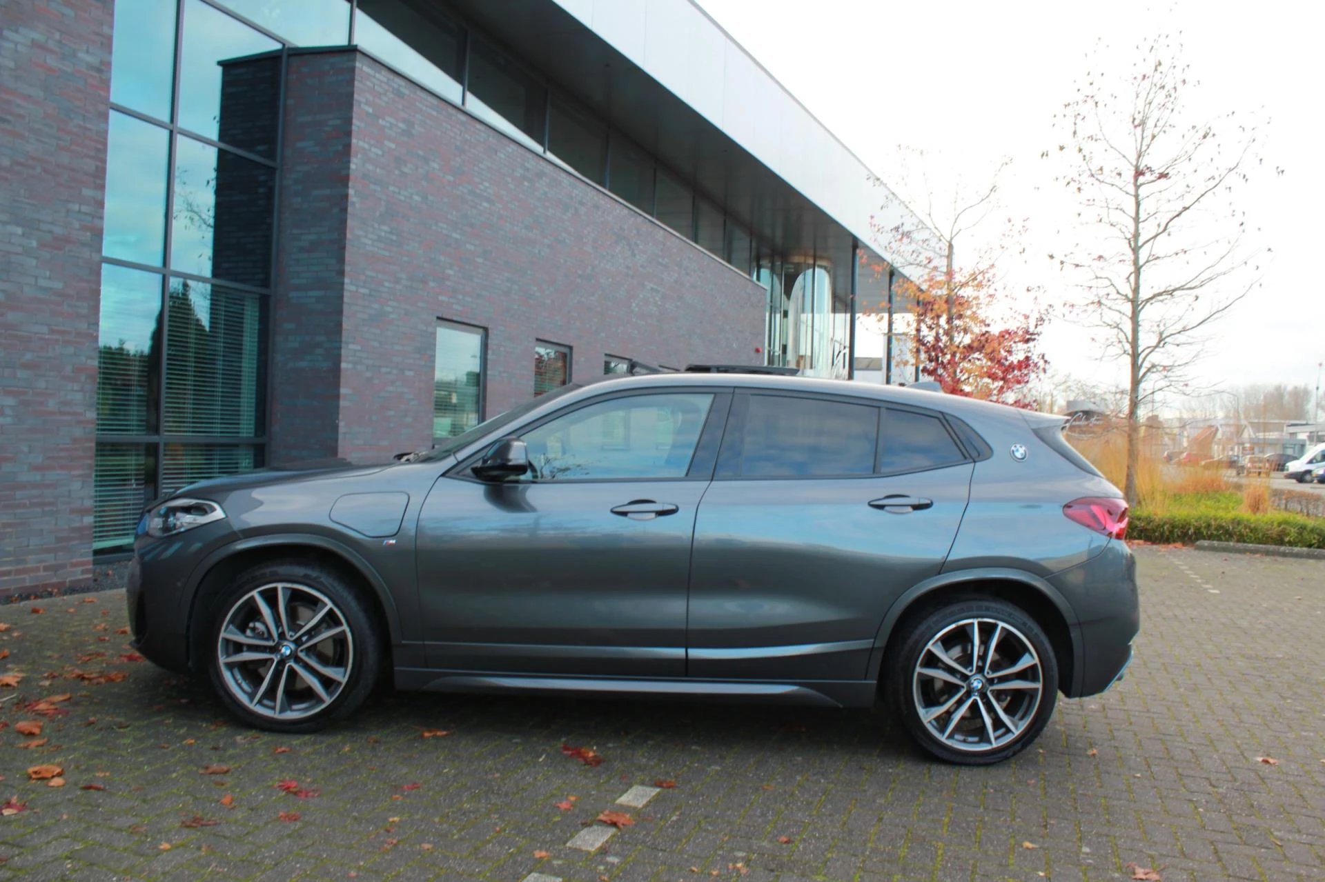 Hoofdafbeelding BMW X2
