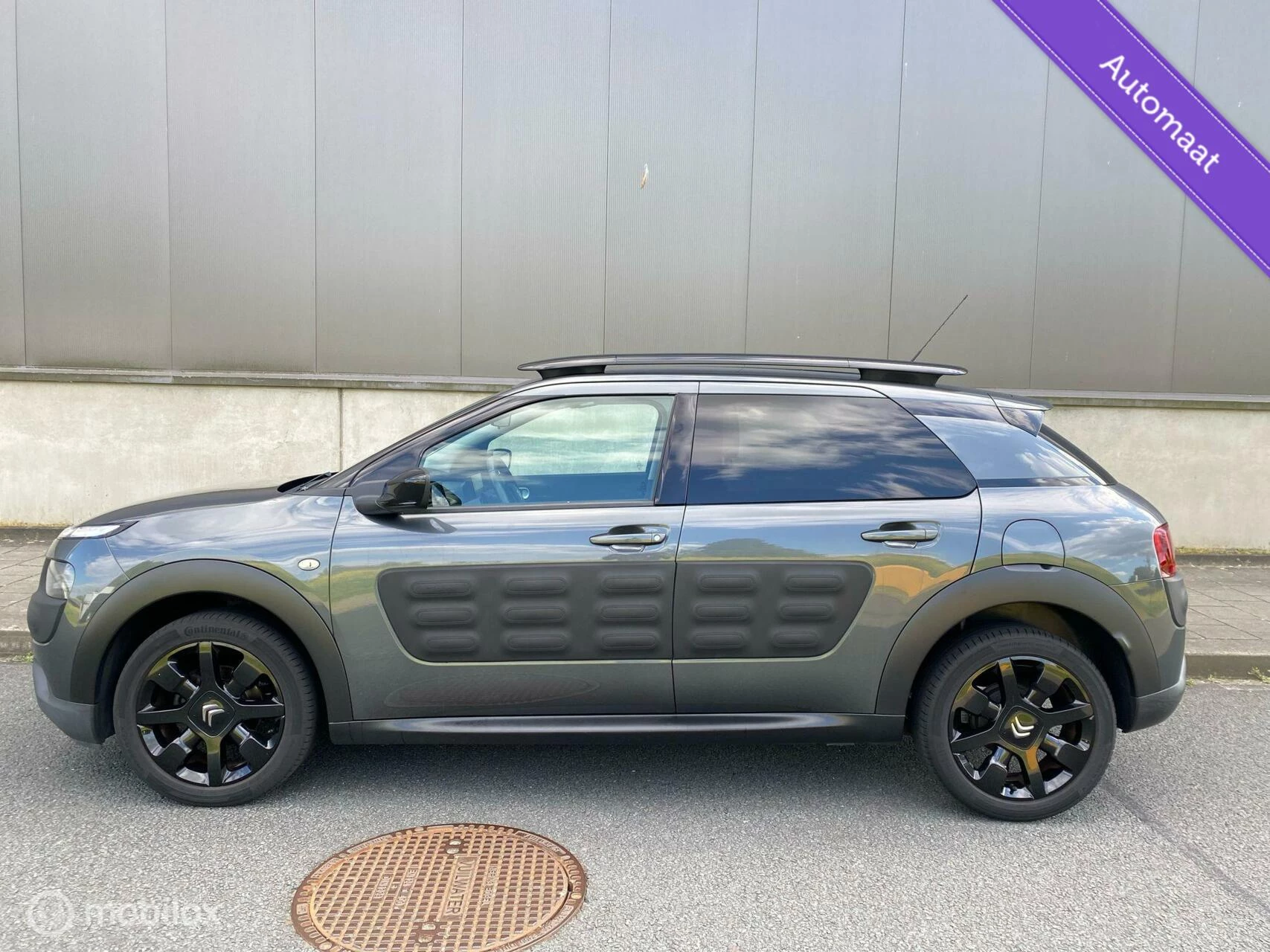 Hoofdafbeelding Citroën C4 Cactus