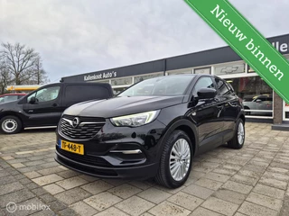 Opel Grandland X 1.2 Turbo Online Edition, D-Riem vervangen!