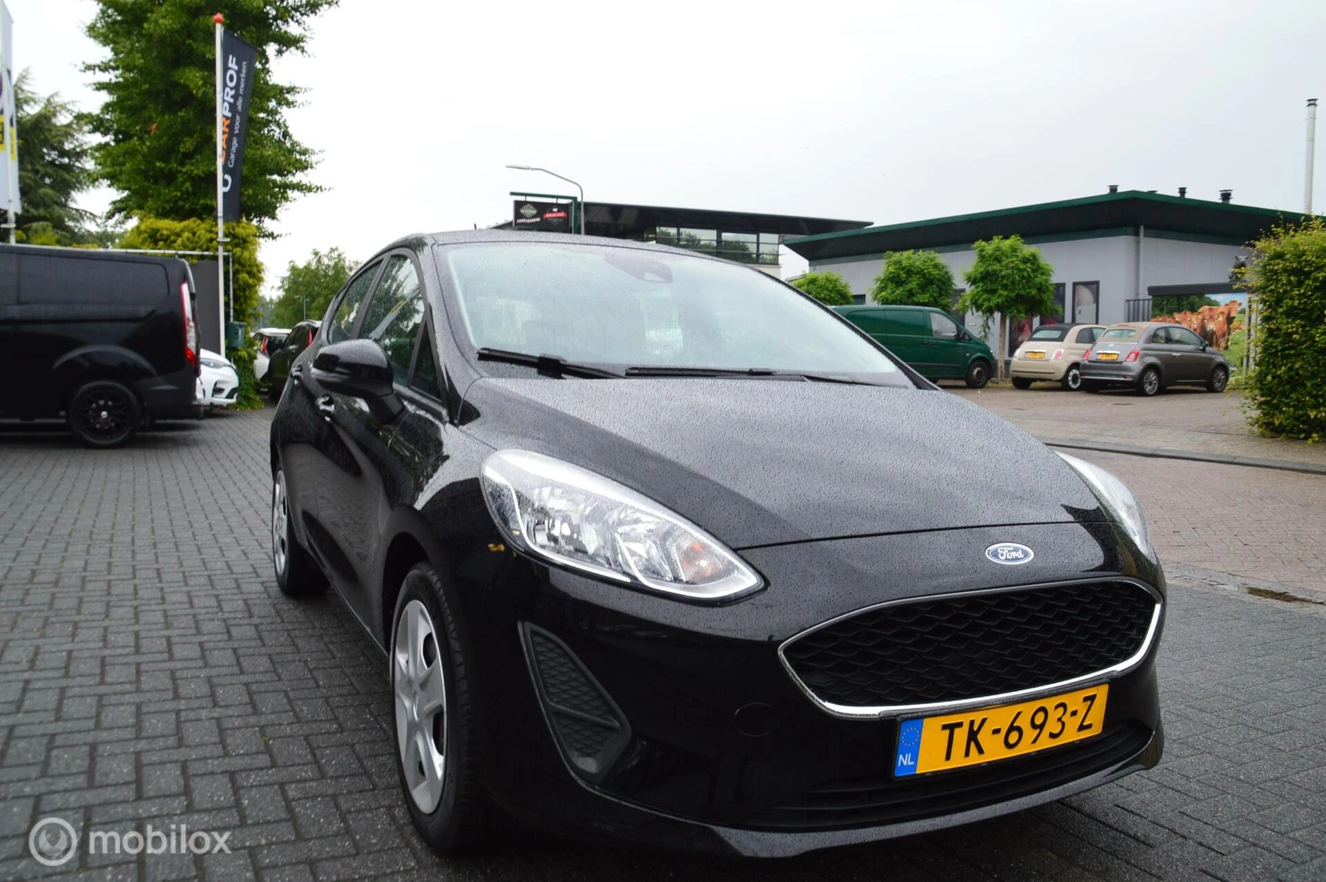 Hoofdafbeelding Ford Fiesta