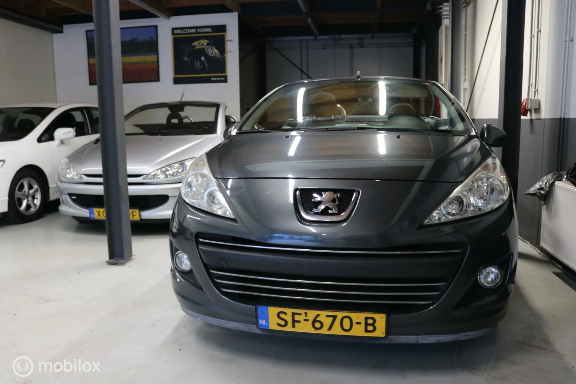 Hoofdafbeelding Peugeot 207