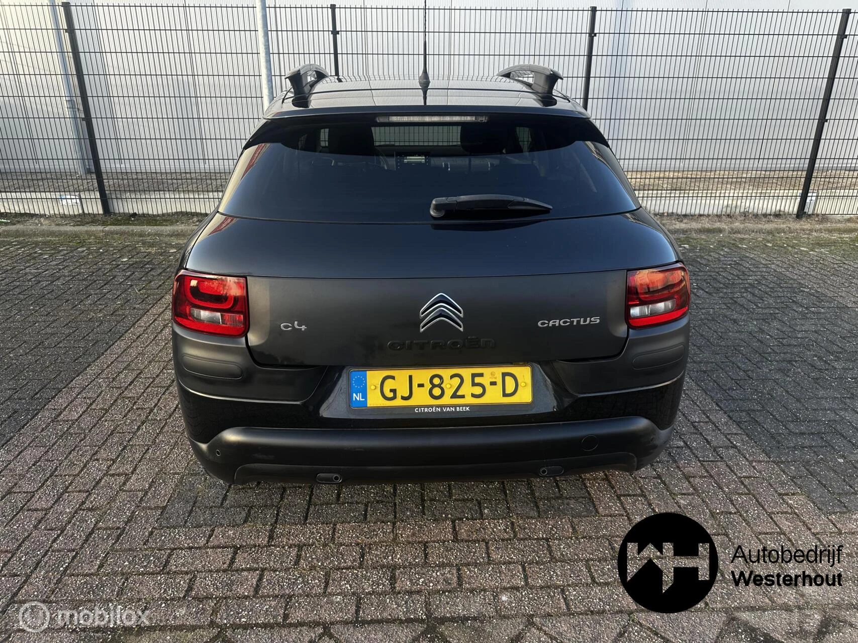 Hoofdafbeelding Citroën C4 Cactus