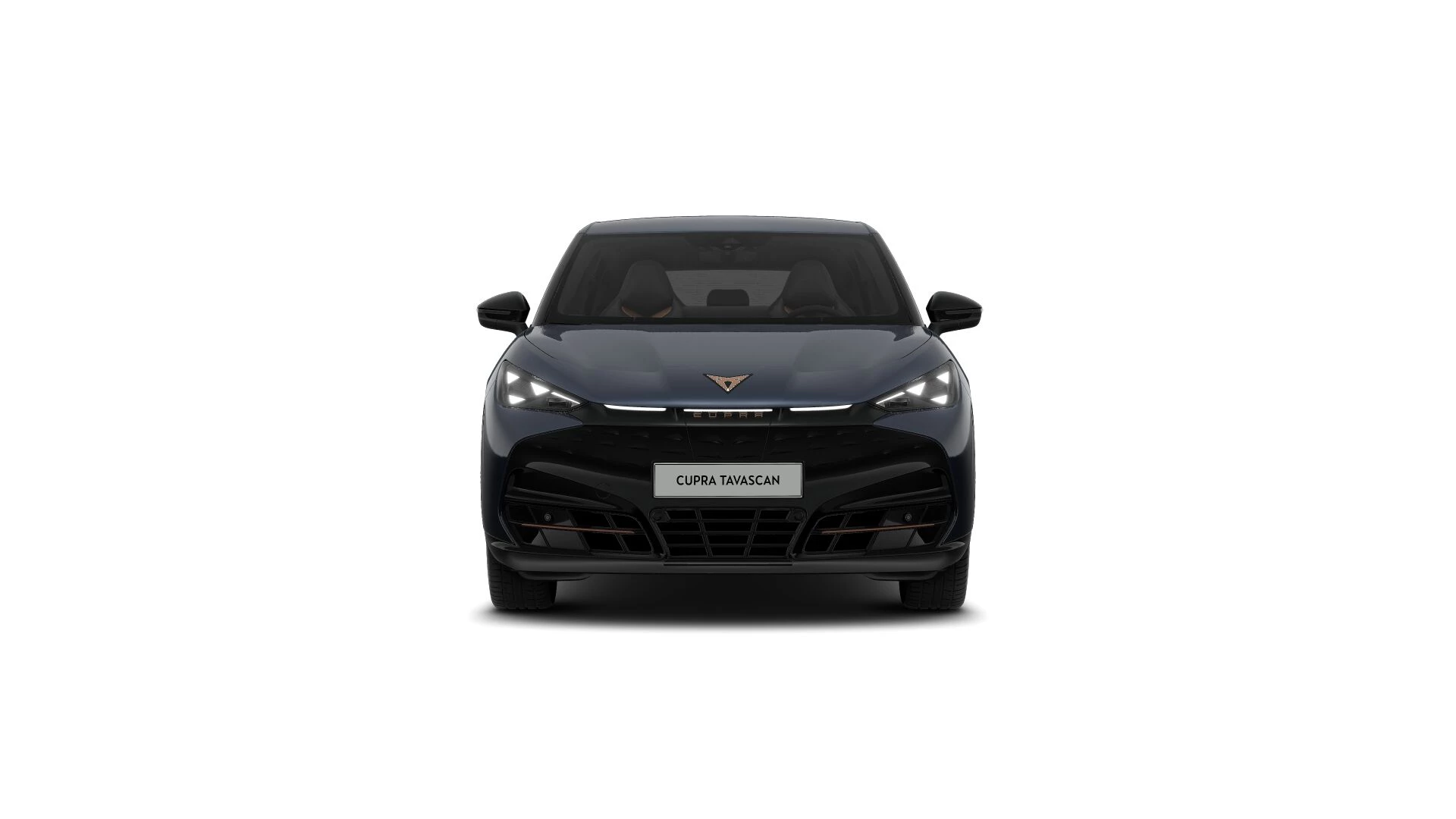 Hoofdafbeelding CUPRA Tavascan