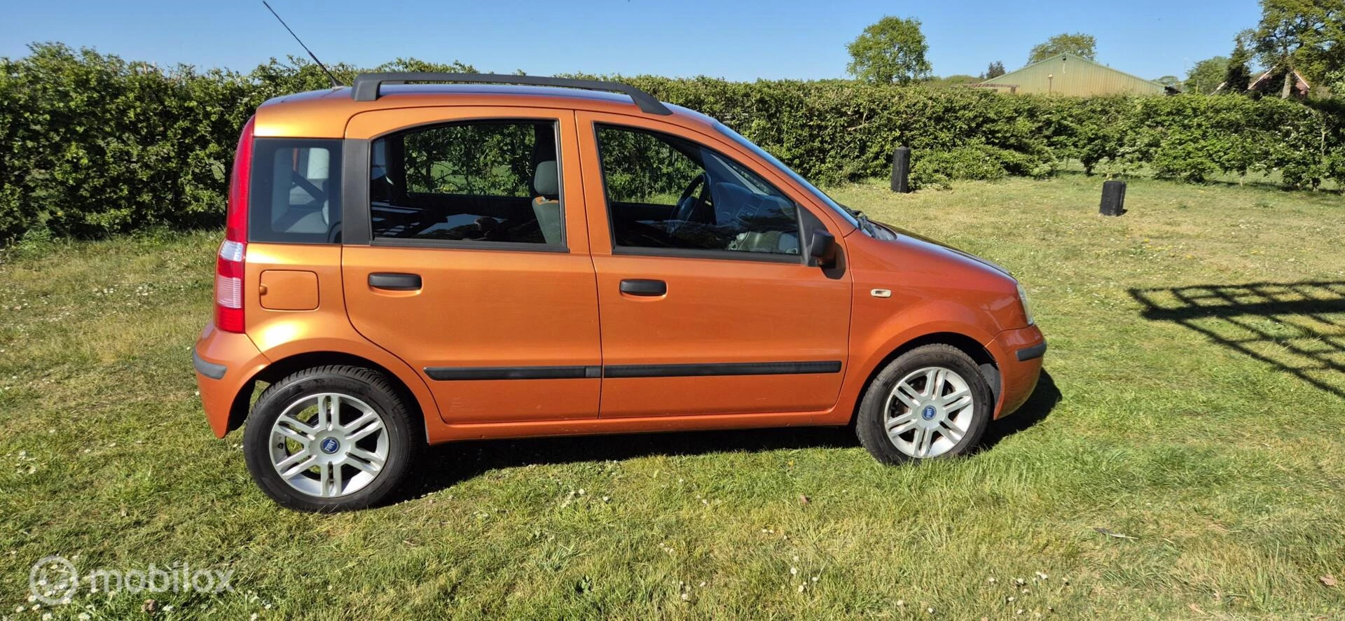Hoofdafbeelding Fiat Panda