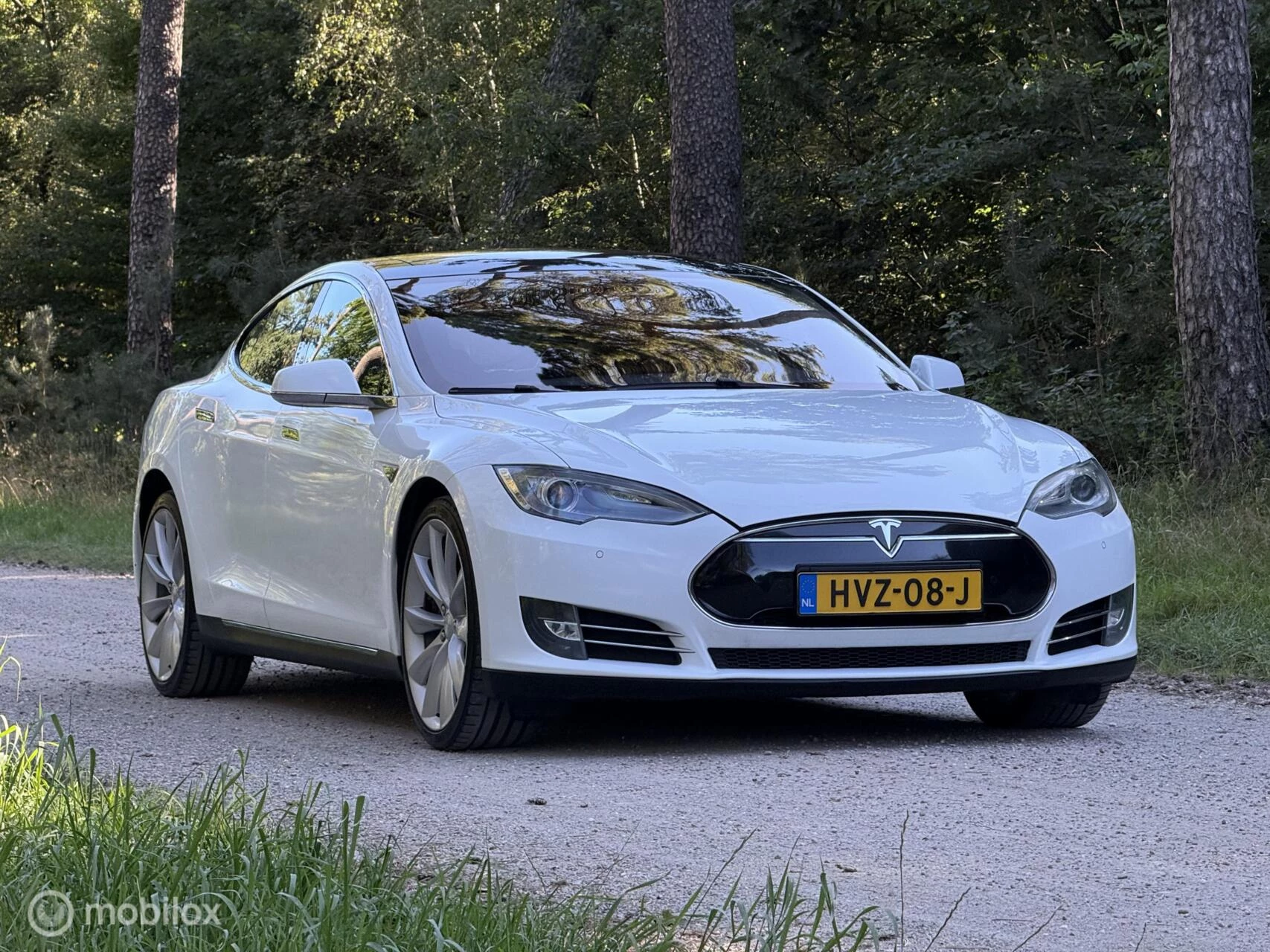 Hoofdafbeelding Tesla Model S