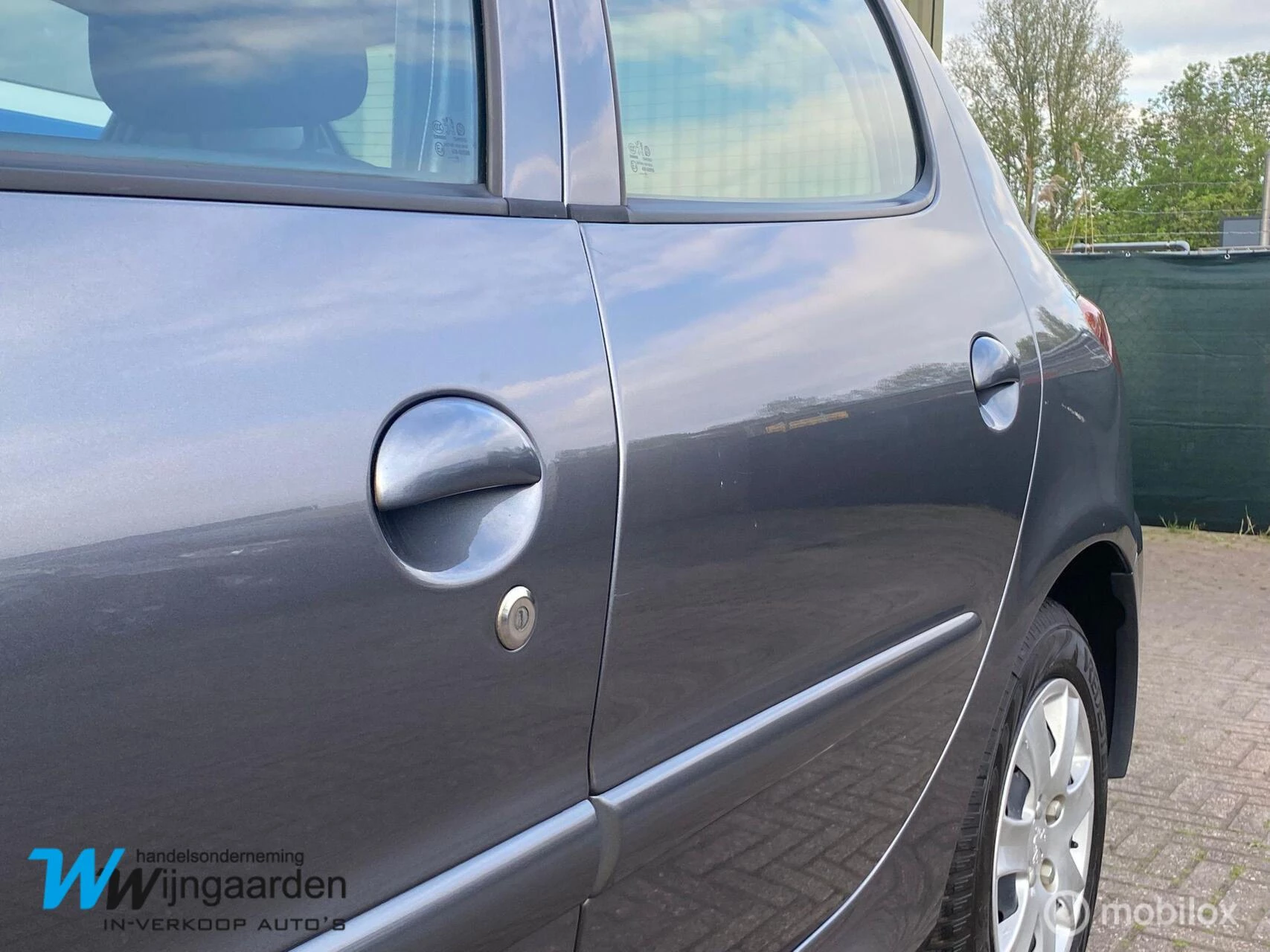 Hoofdafbeelding Peugeot 206