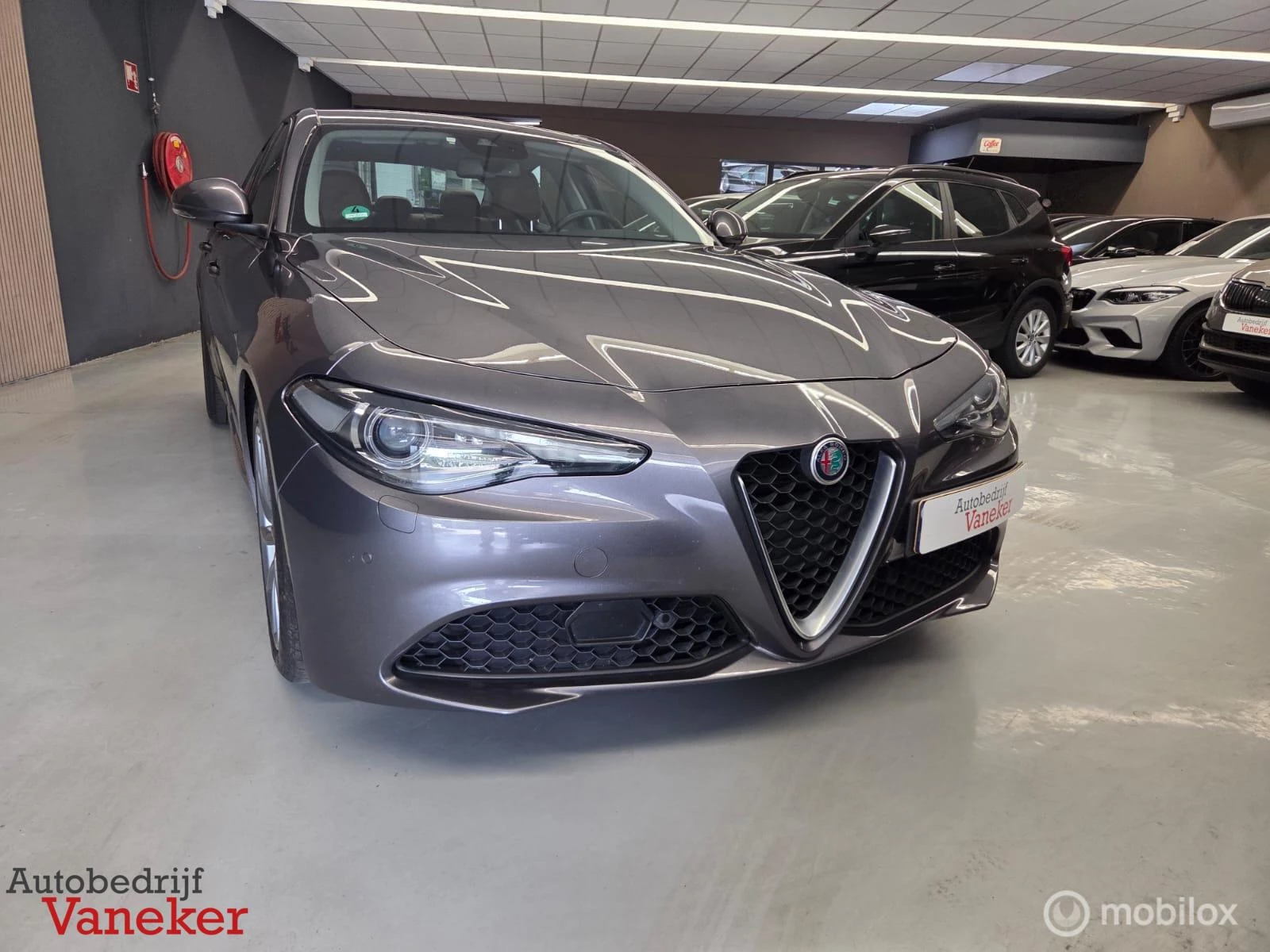 Hoofdafbeelding Alfa Romeo Giulia