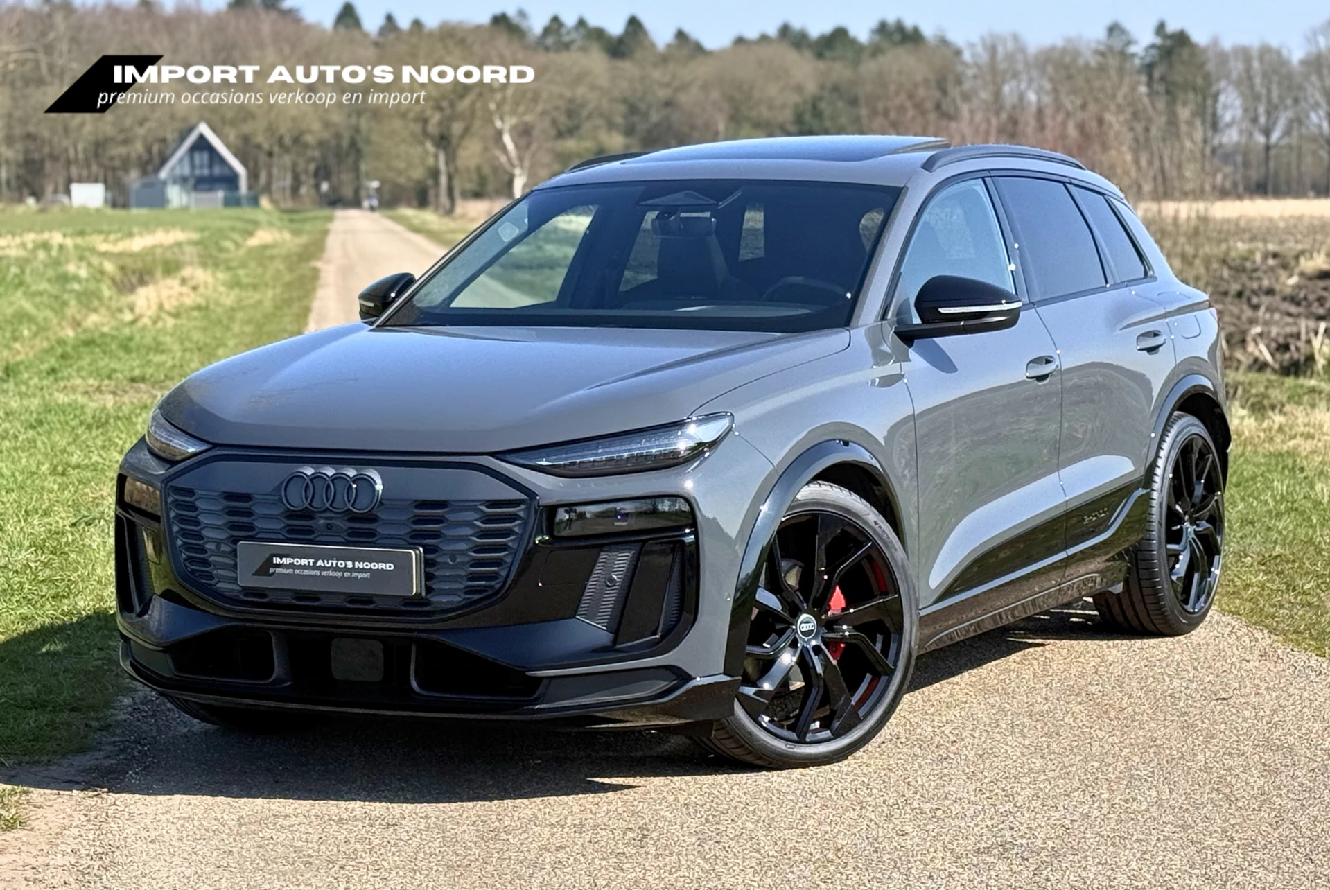 Hoofdafbeelding Audi Q6 e-tron