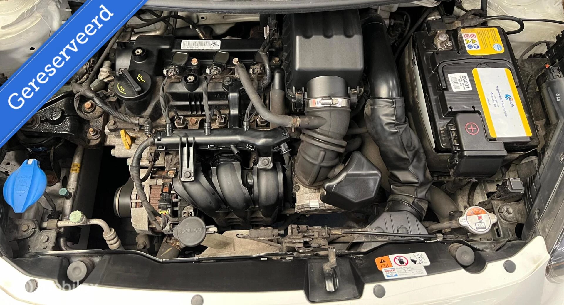 Hoofdafbeelding Kia Picanto