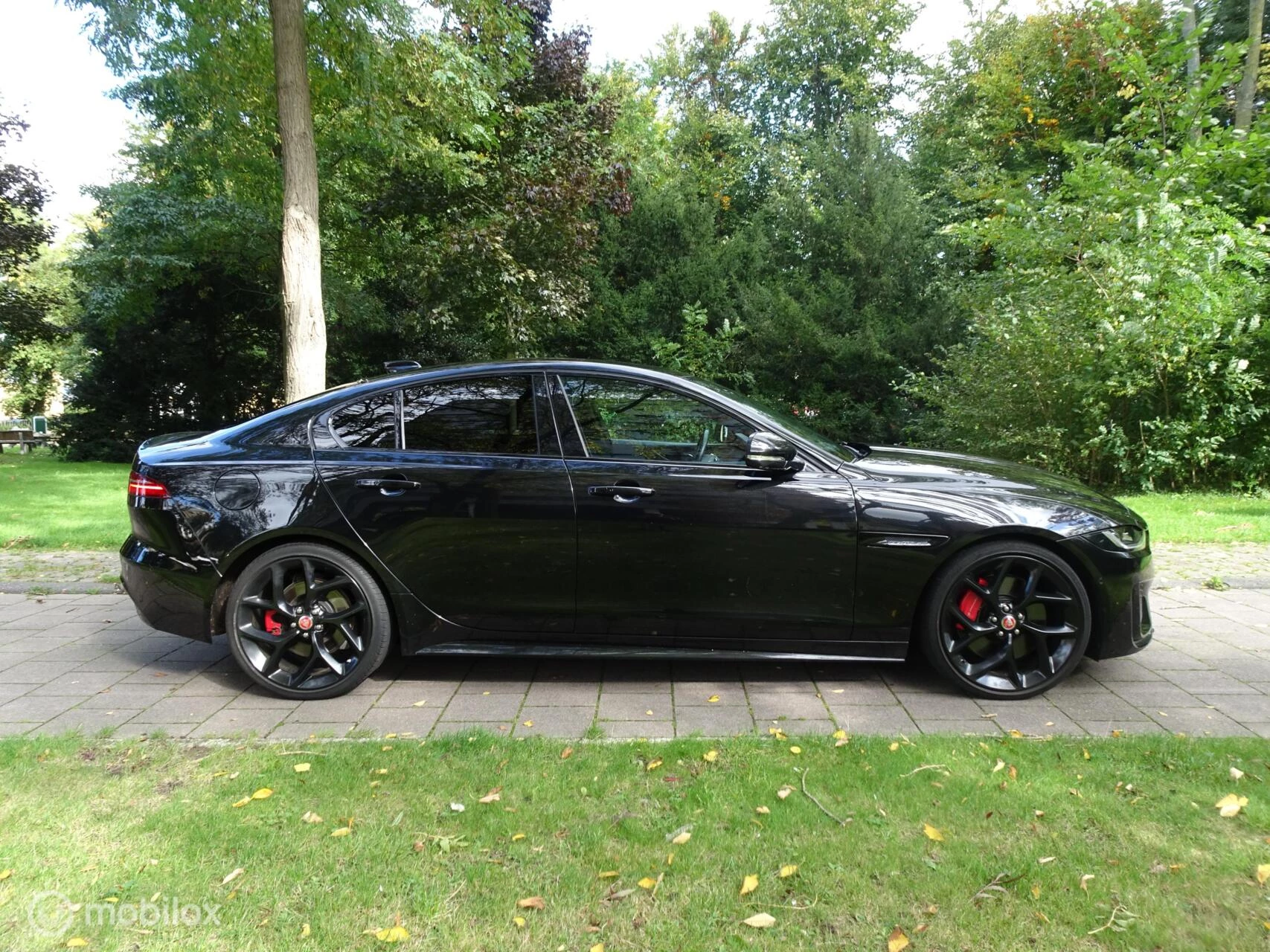 Hoofdafbeelding Jaguar XE