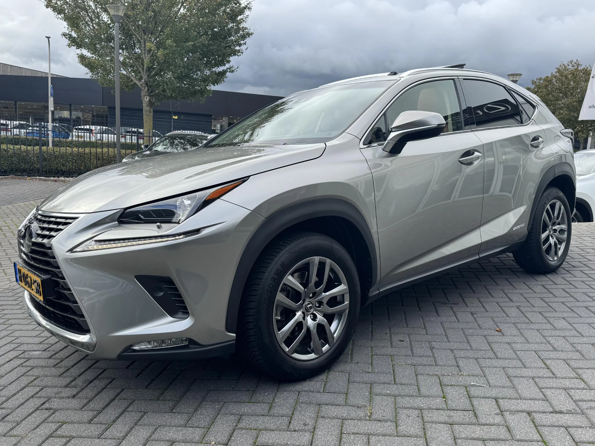 Hoofdafbeelding Lexus NX