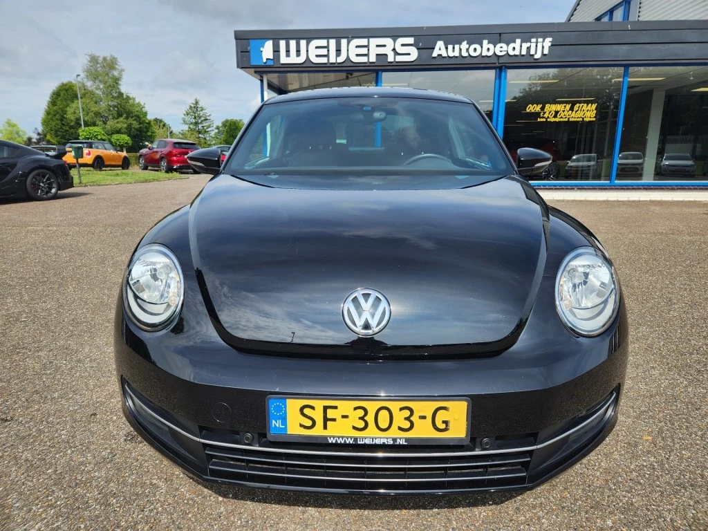 Hoofdafbeelding Volkswagen Beetle