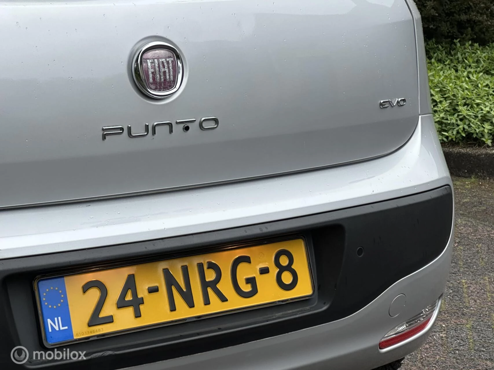 Hoofdafbeelding Fiat Punto