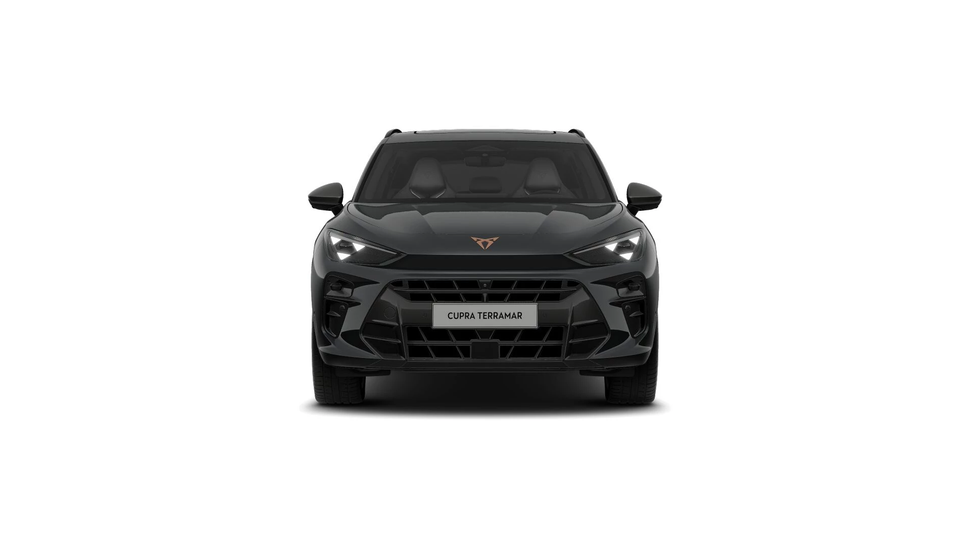 Hoofdafbeelding CUPRA Terramar