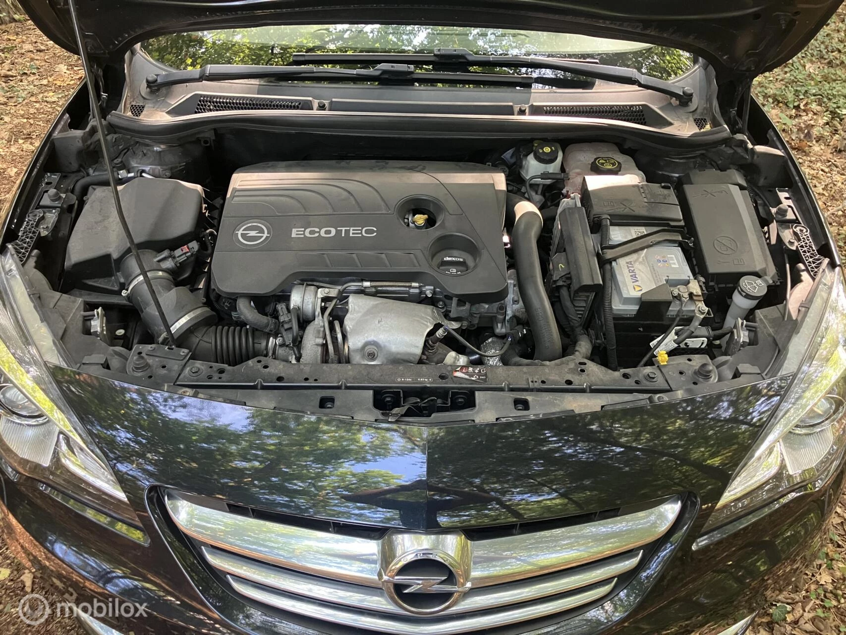 Hoofdafbeelding Opel Cascada