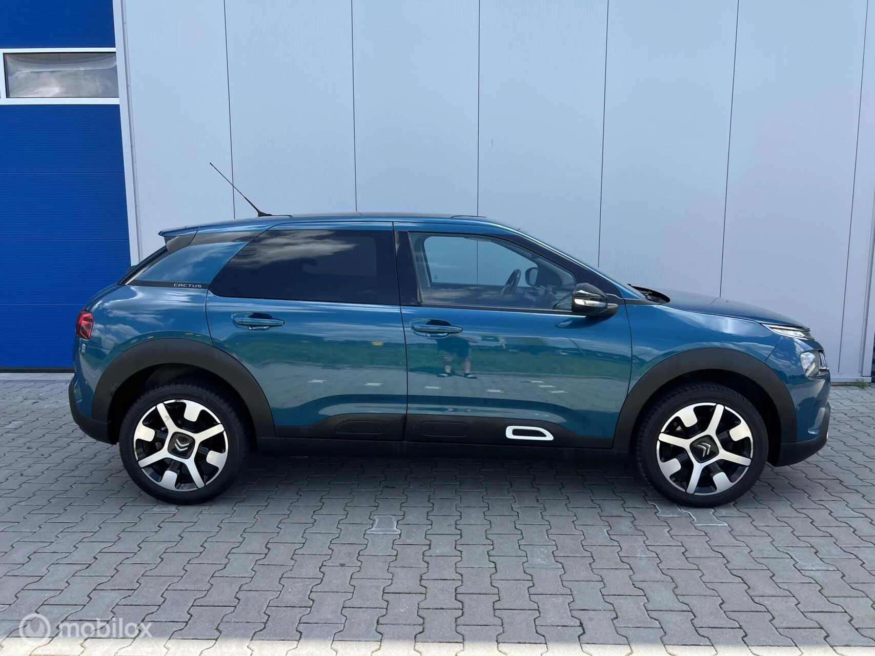 Hoofdafbeelding Citroën C4 Cactus