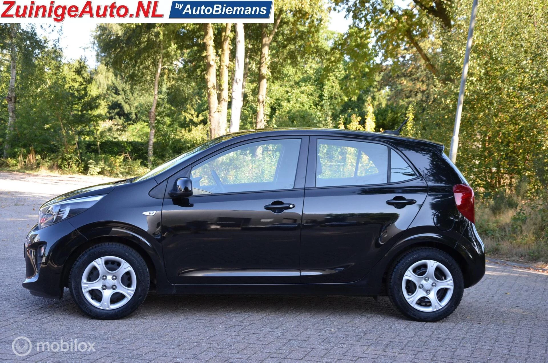 Hoofdafbeelding Kia Picanto