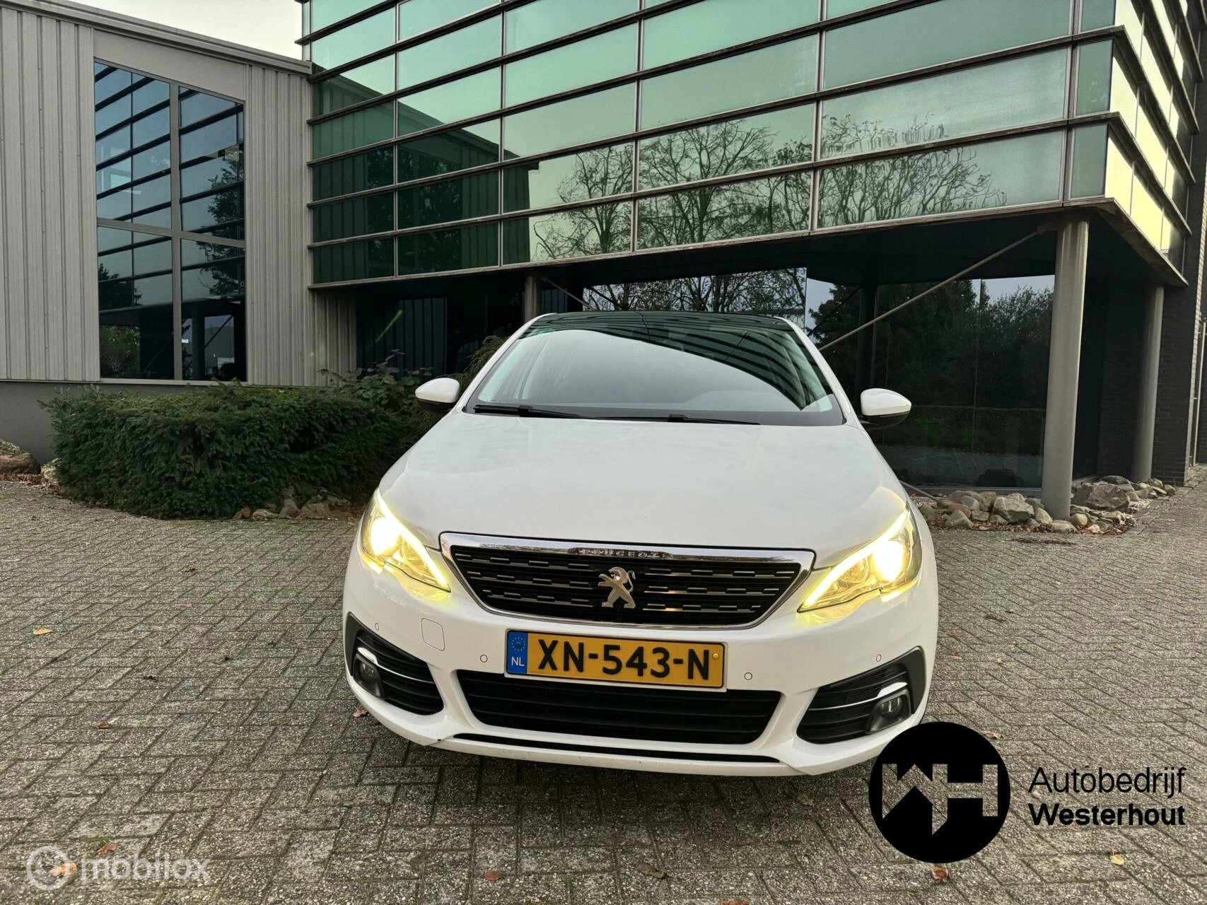 Hoofdafbeelding Peugeot 308