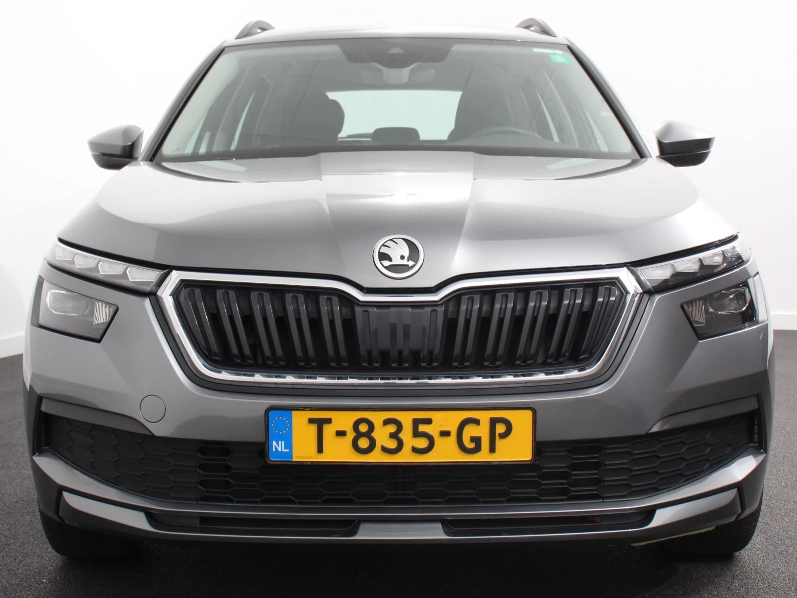 Hoofdafbeelding Škoda Kamiq