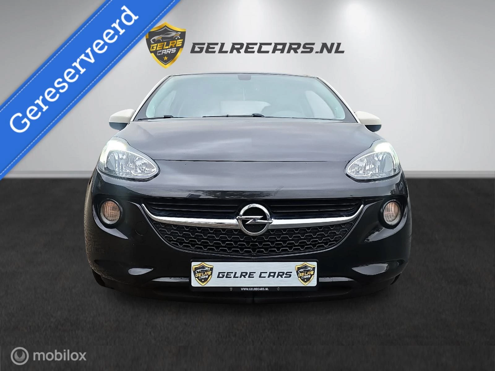 Hoofdafbeelding Opel ADAM