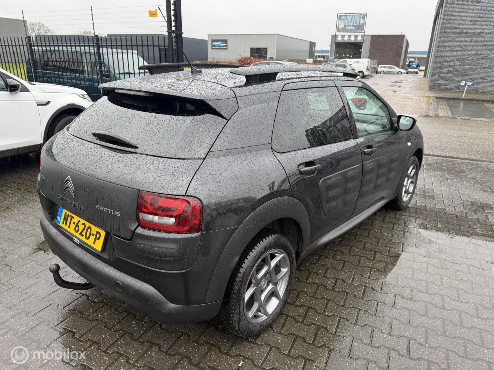 Hoofdafbeelding Citroën C4 Cactus