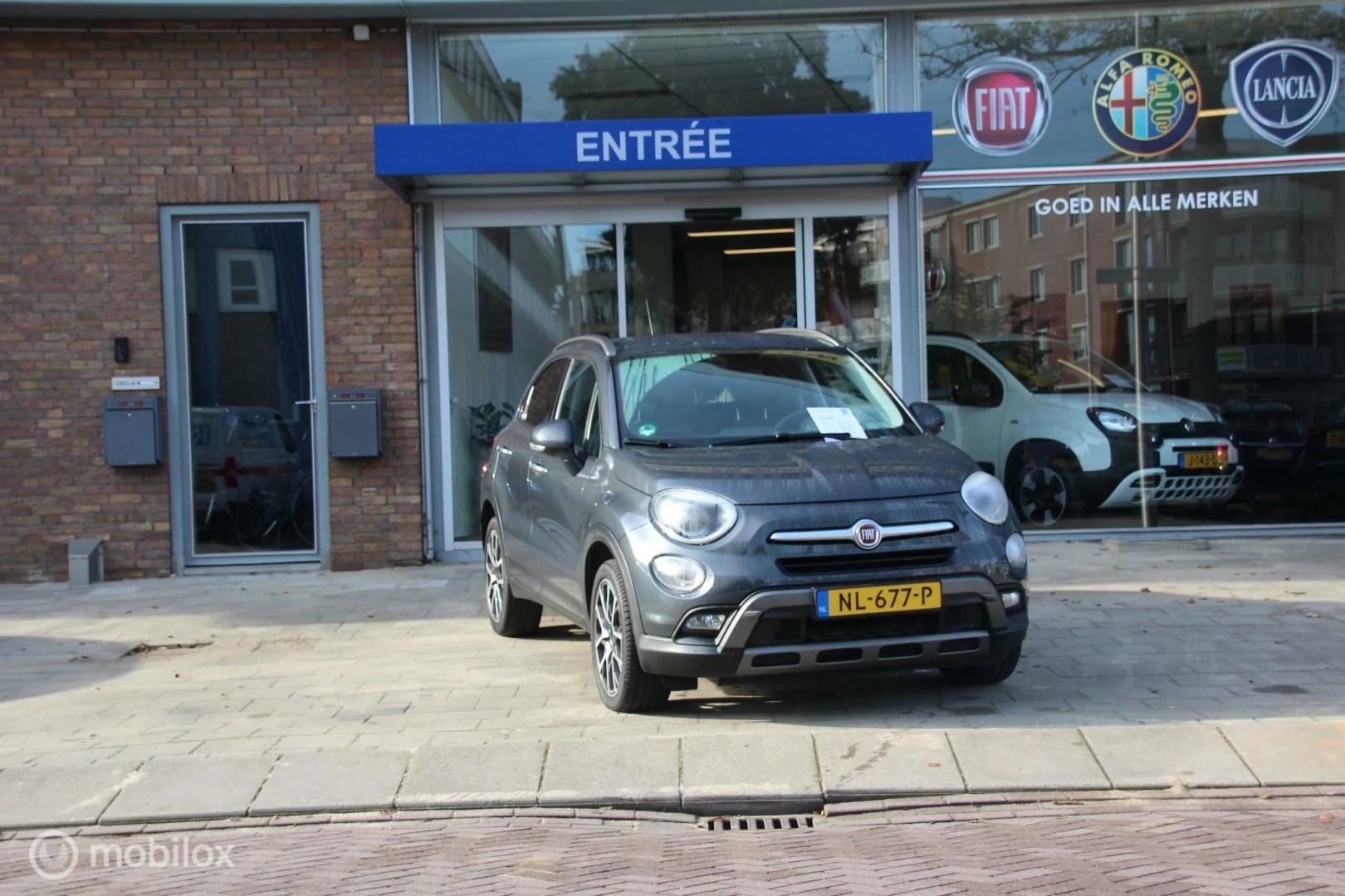 Hoofdafbeelding Fiat 500X