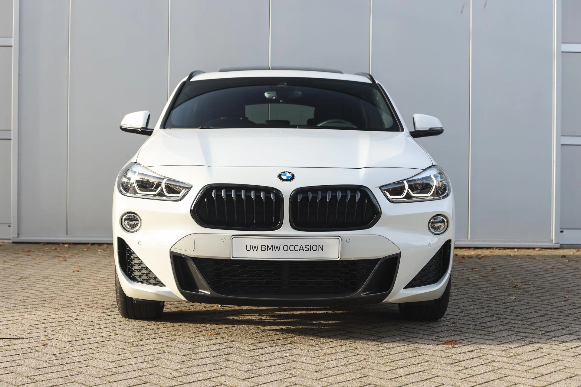 Hoofdafbeelding BMW X2