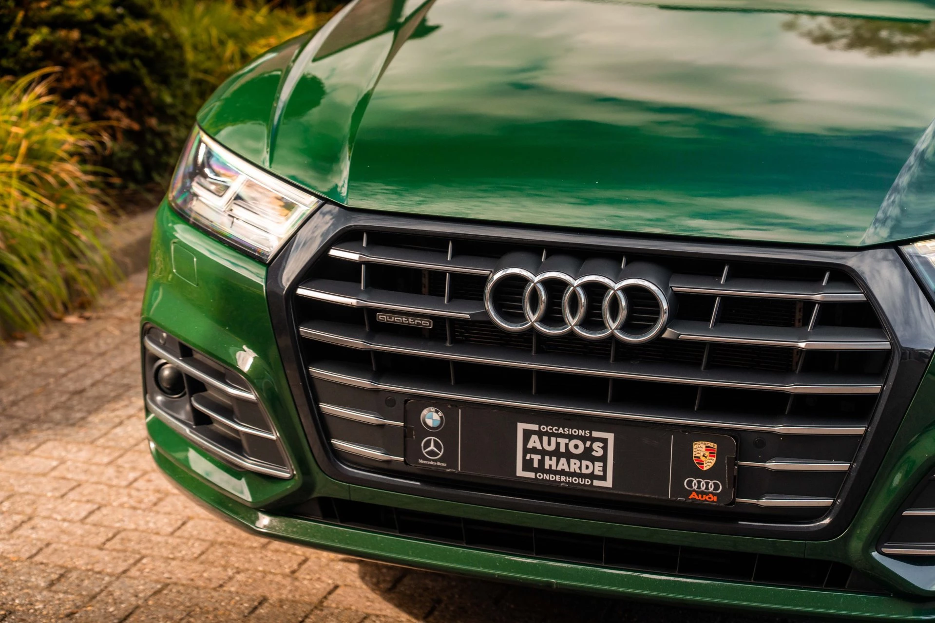 Hoofdafbeelding Audi Q5