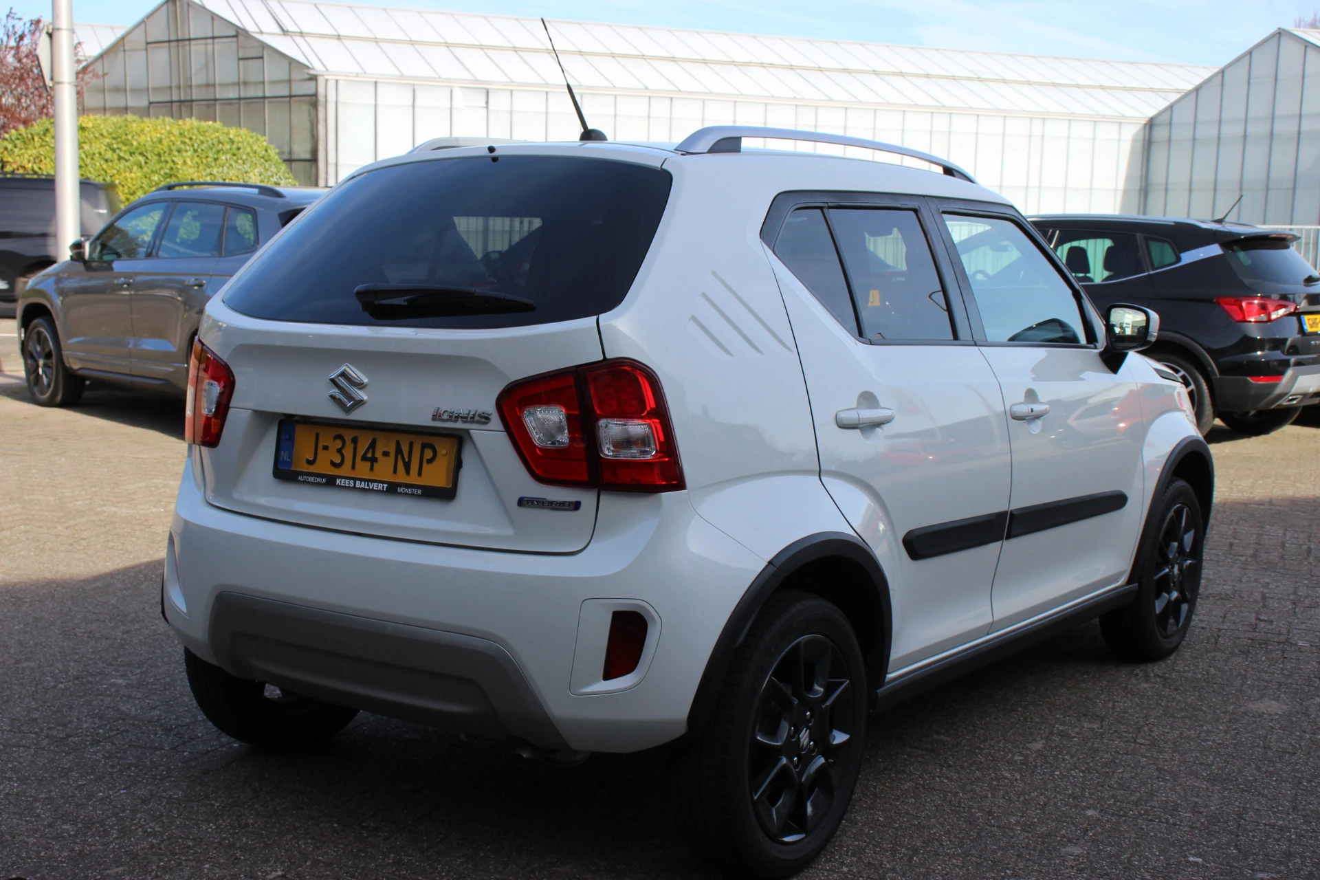 Hoofdafbeelding Suzuki Ignis