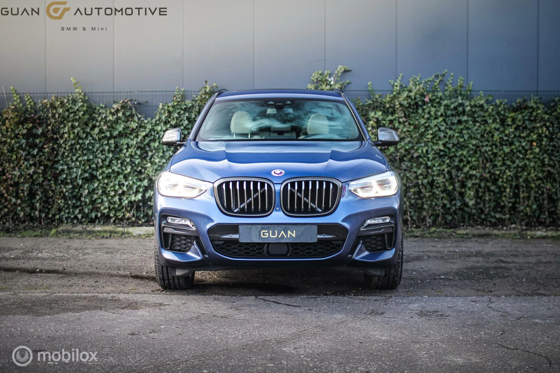 Hoofdafbeelding BMW X3