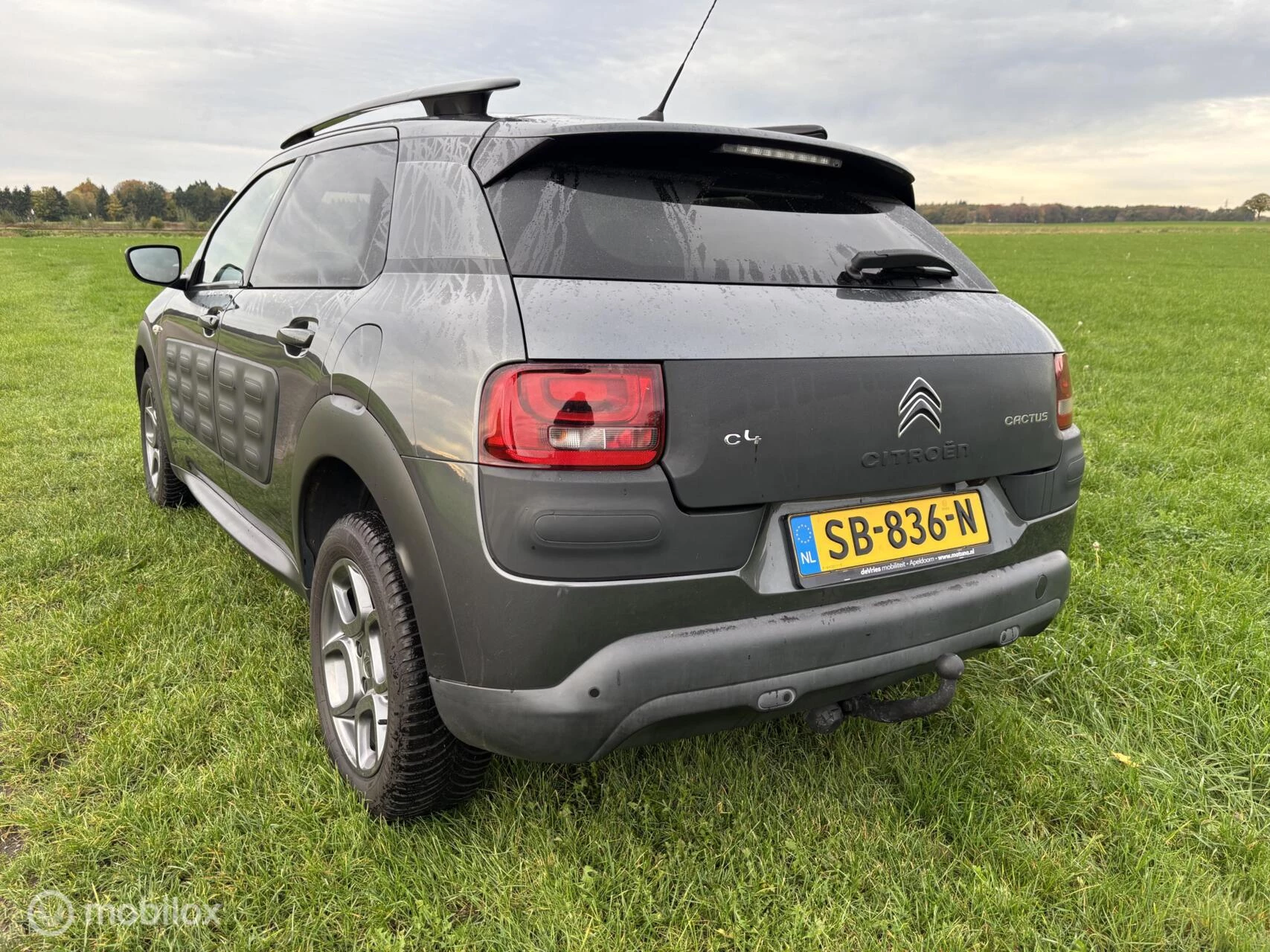 Hoofdafbeelding Citroën C4 Cactus