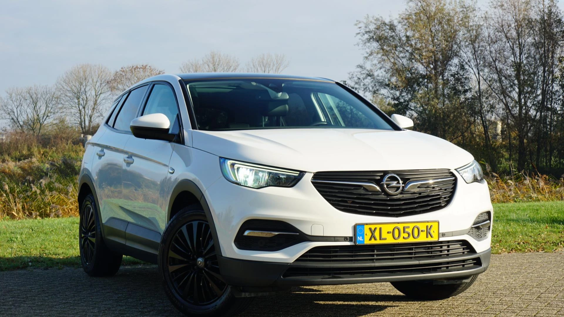 Hoofdafbeelding Opel Grandland X