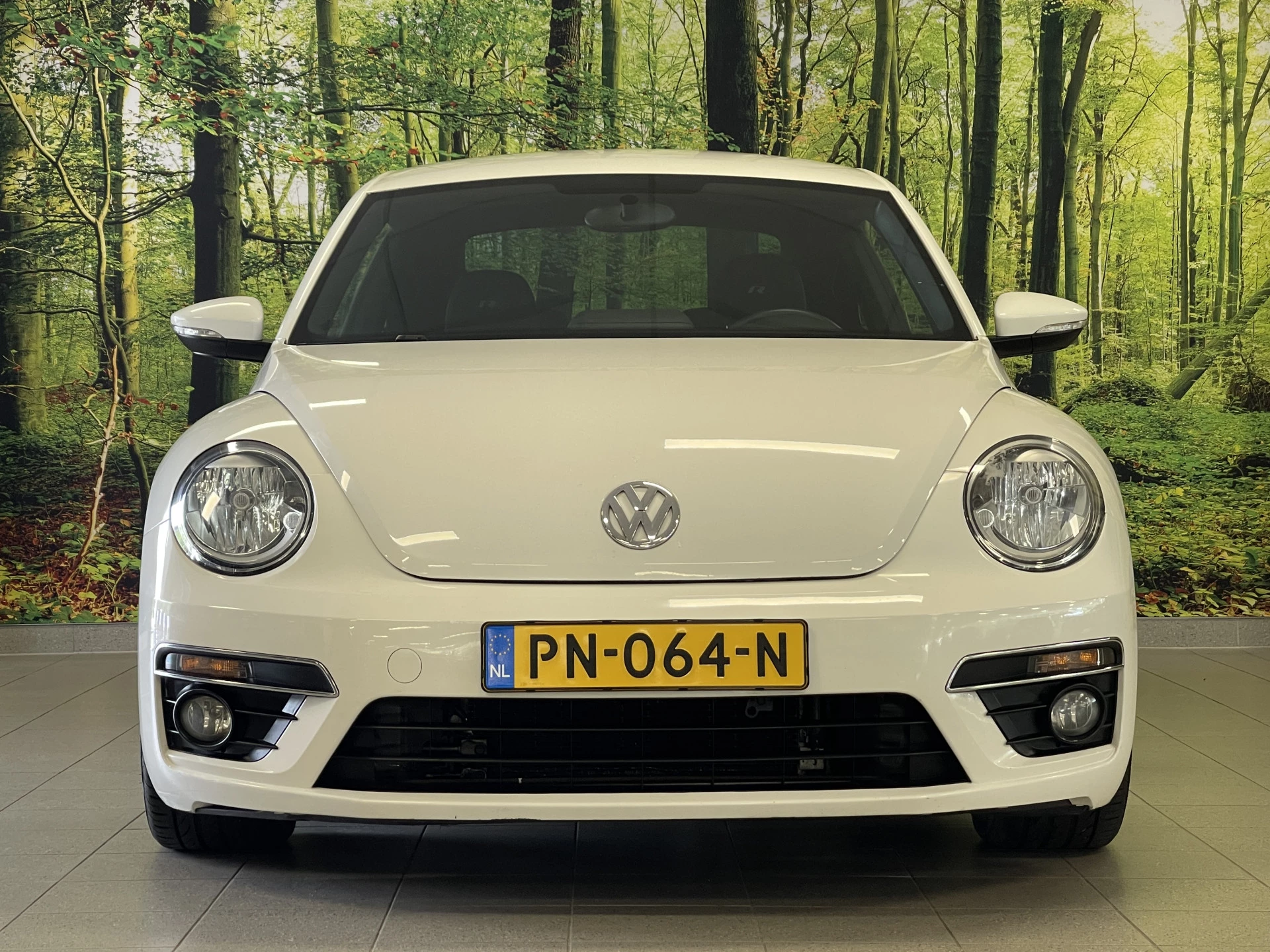 Hoofdafbeelding Volkswagen Beetle