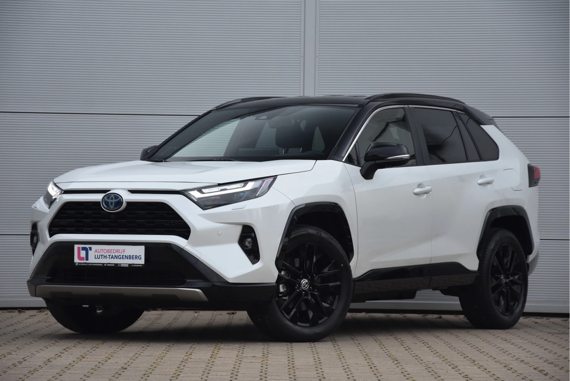 Hoofdafbeelding Toyota RAV4